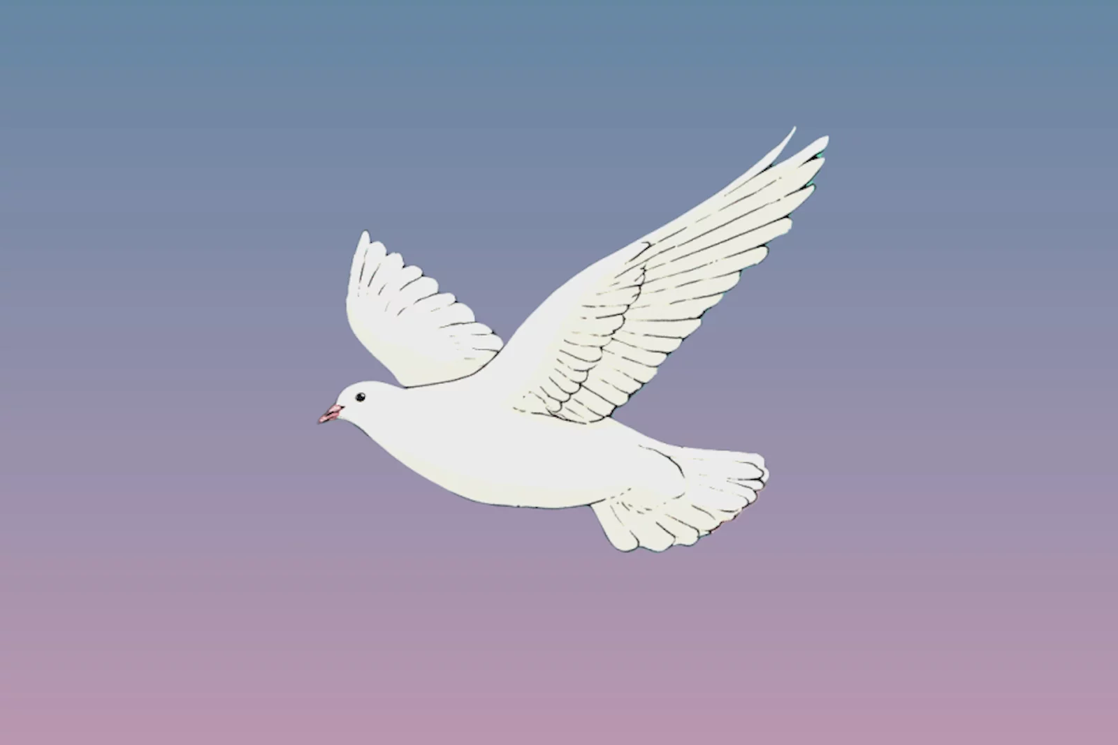 We then hand-crafted a vector-based icon of our final bird for Baba's team to use as their main mark.