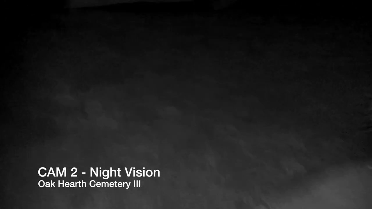 A news segment presents a forensic analysis of night vision footage captured during an investigation at Oak Hearth Cemetery. The broadcast verifies the authenticity of the audio and video evidence related to the Blaney Tucker case.