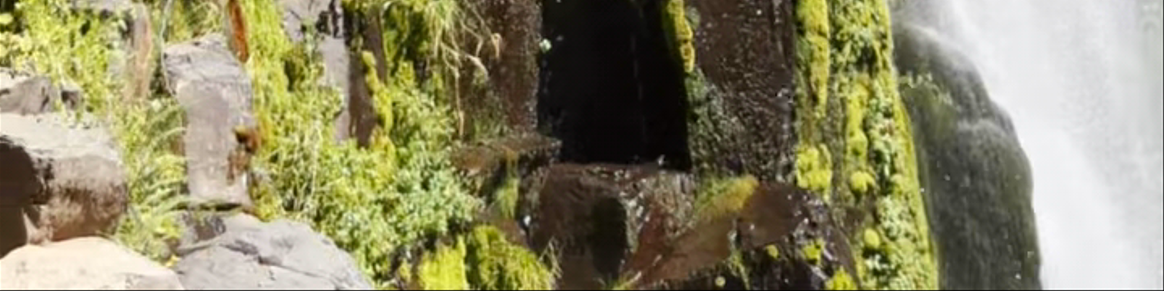 Parque Nacional Radal Siete Tazas