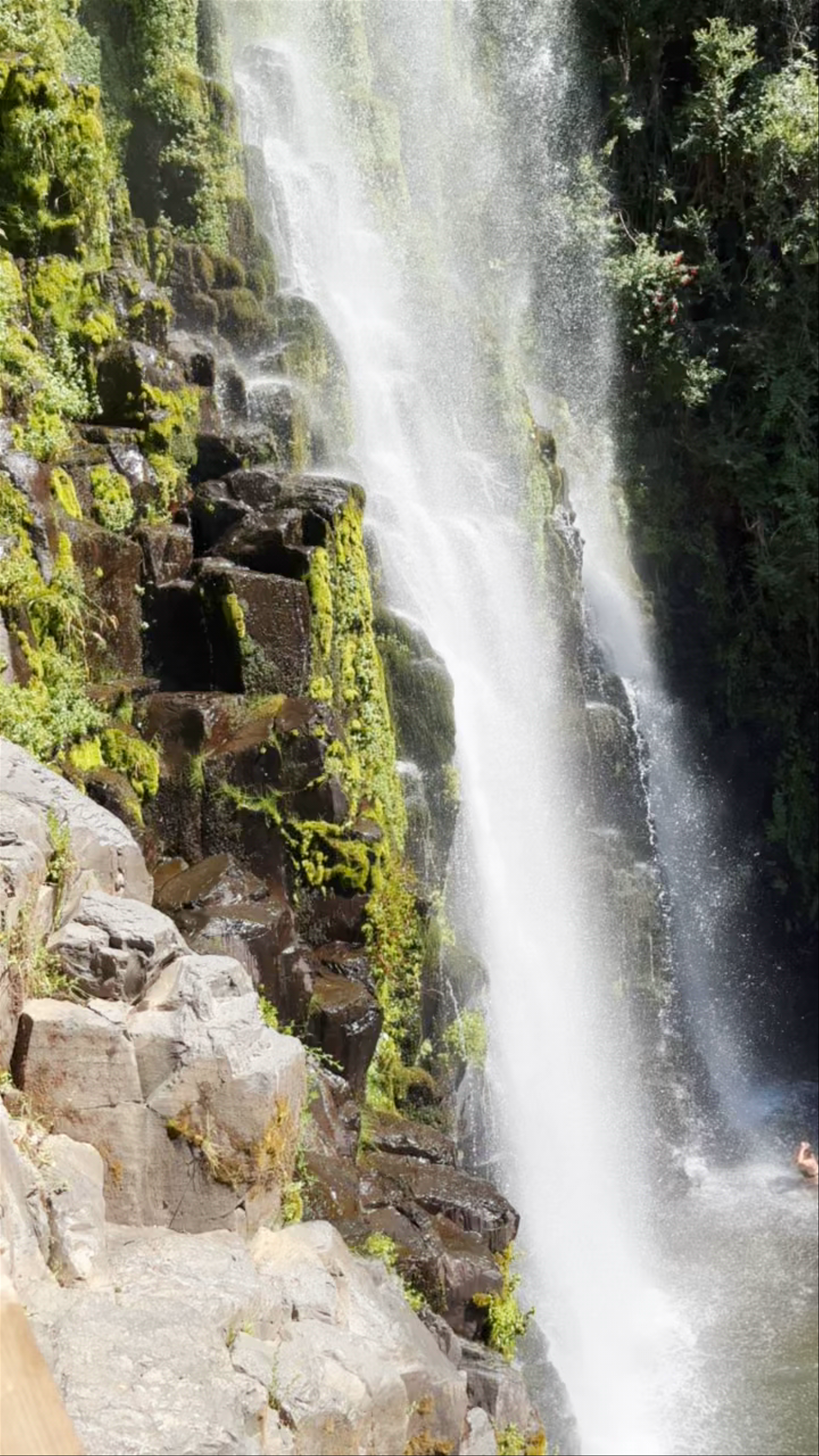 Parque Nacional Radal Siete Tazas