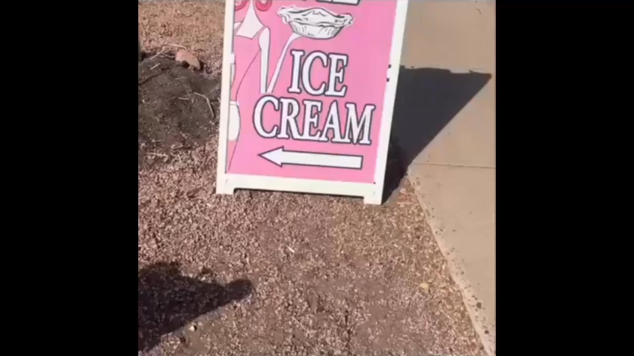 Pie Snob - Video review - Bakeries Near Me - Phoenix, Arizona