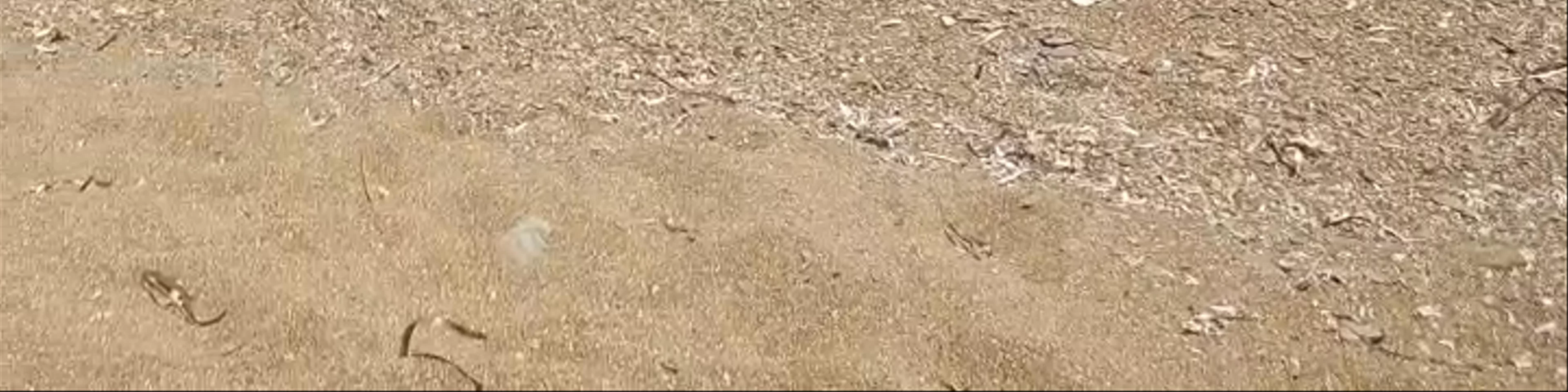 Paralia Livadi