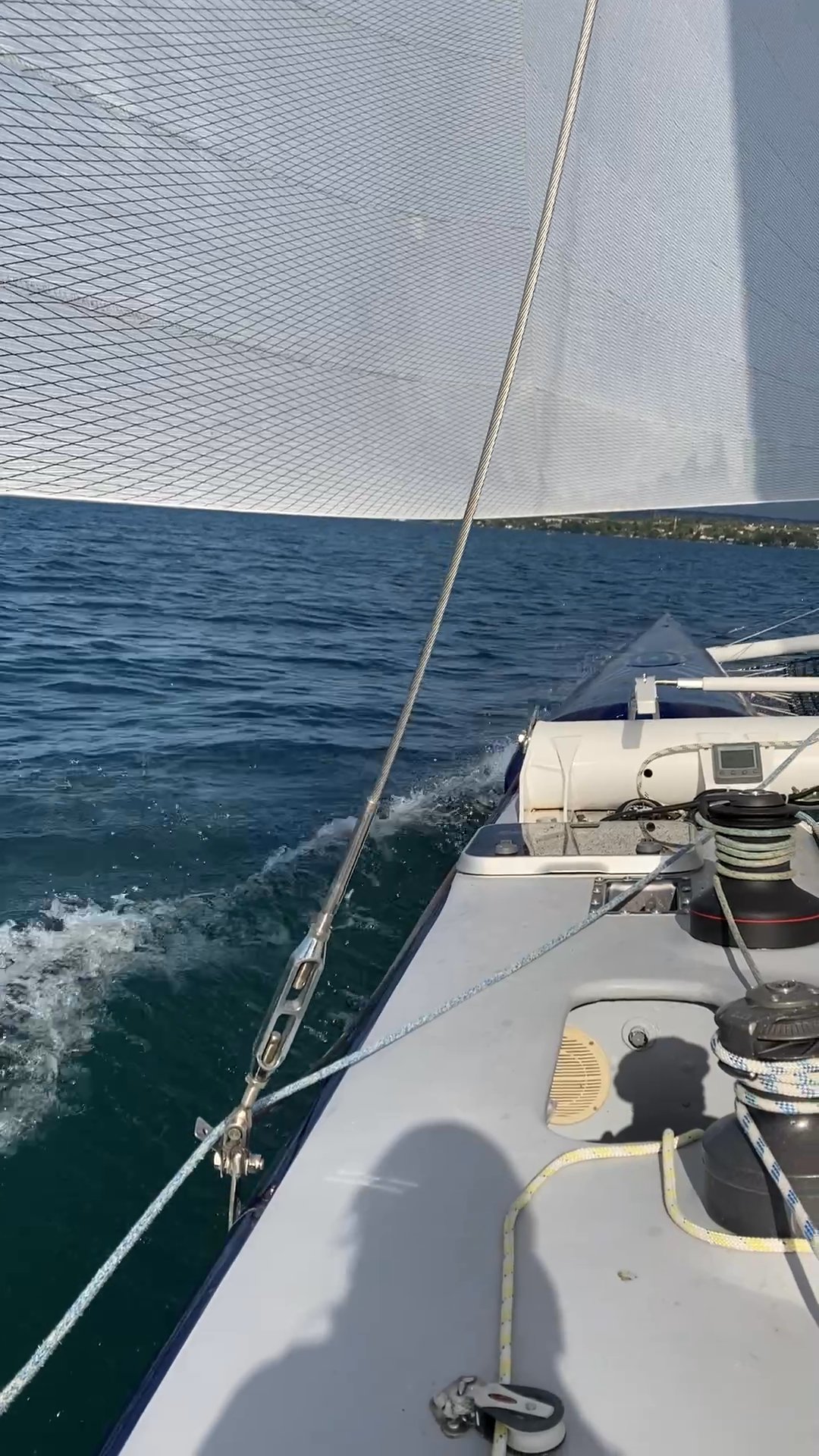 Laurie Ahn Strava Runner Profile