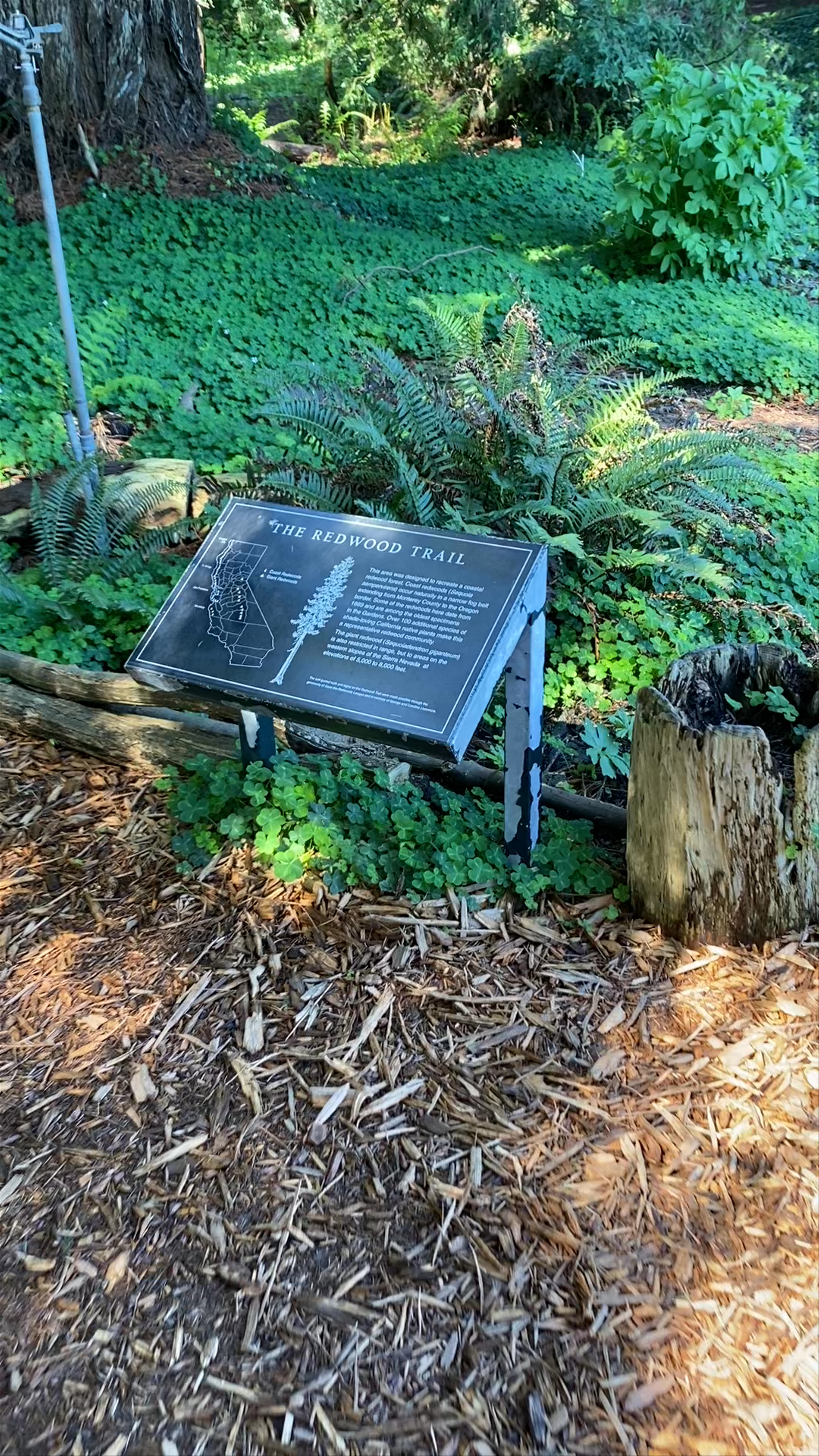San Francisco Botanical Garden