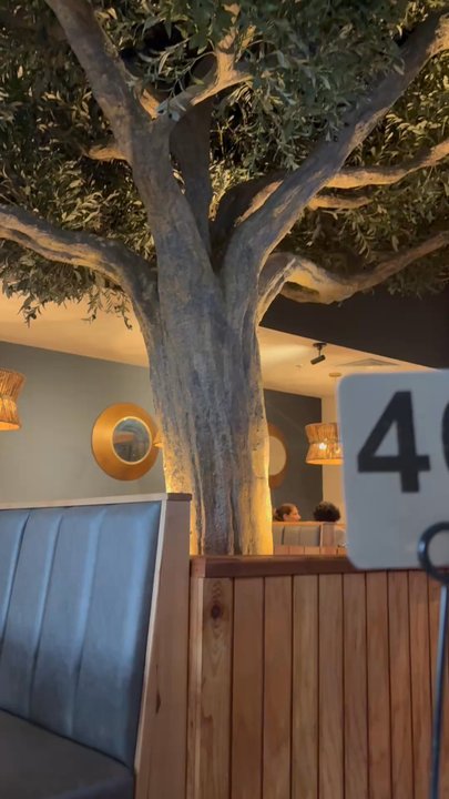 Meddys - Clean beautiful atmosphere - Mediterranean Near Me - Tulsa, Oklahoma