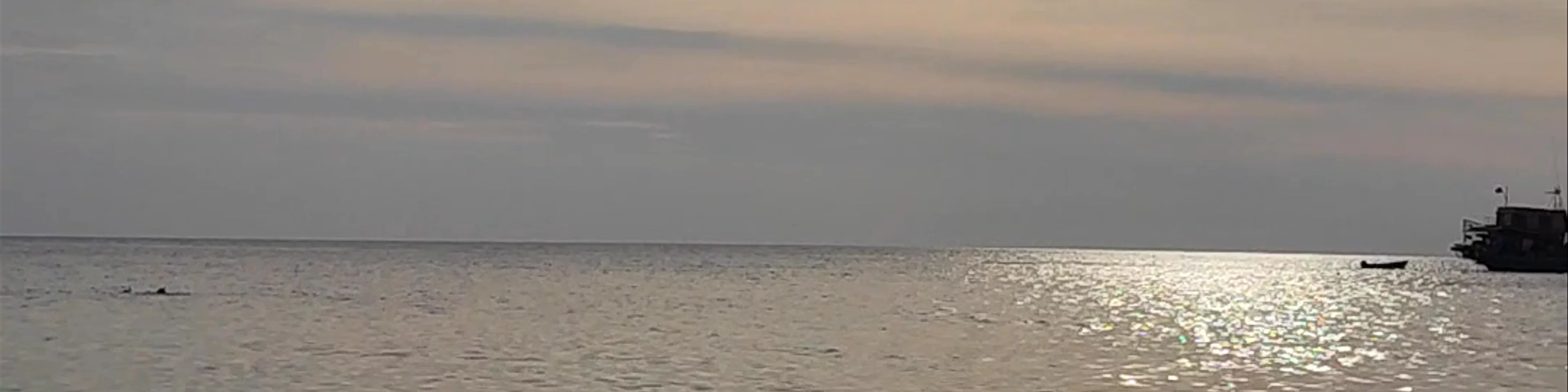 Freedom Beach