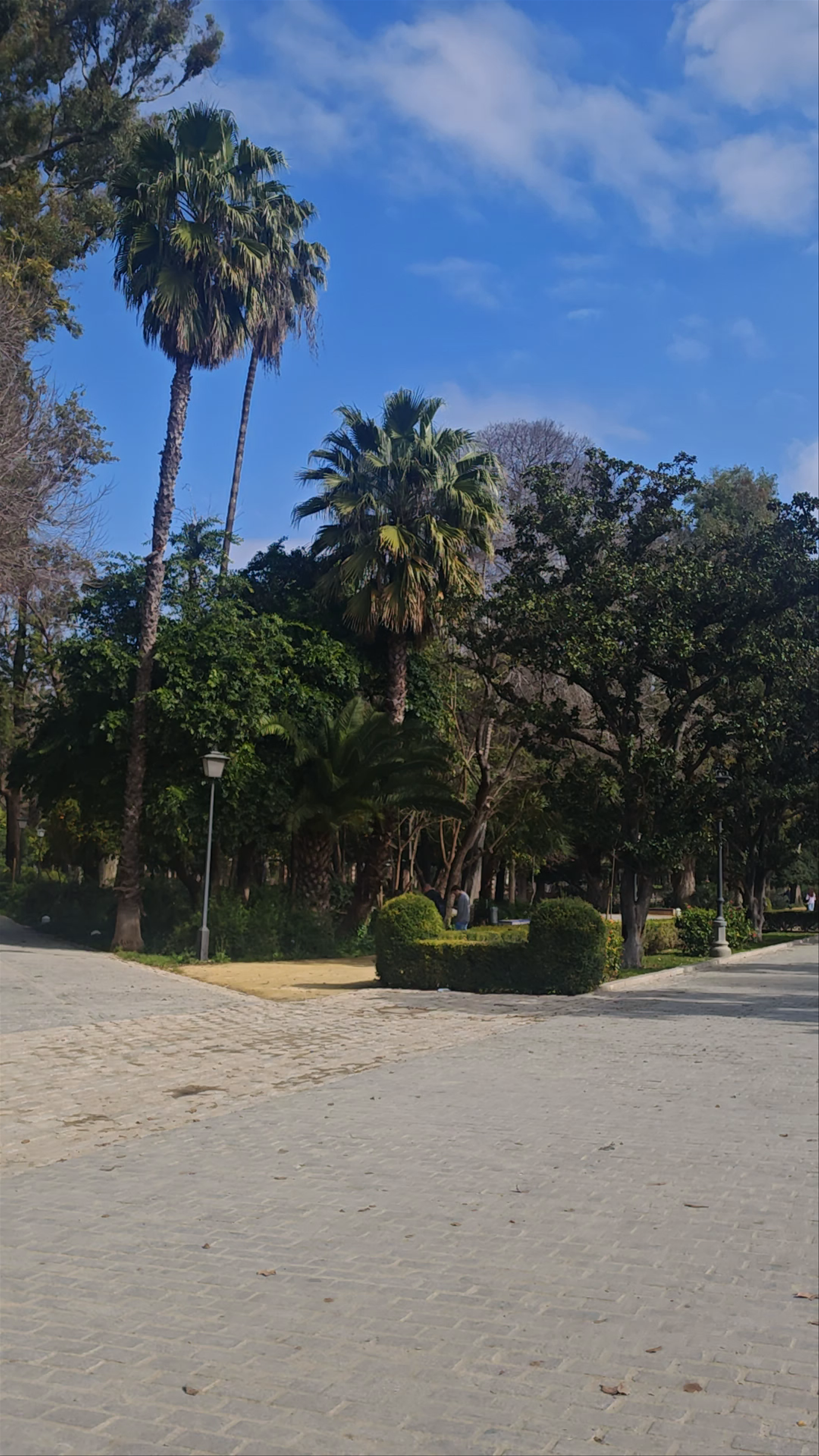 Strolling Through Parque de María Luisa, Seville's Lush Urban Haven