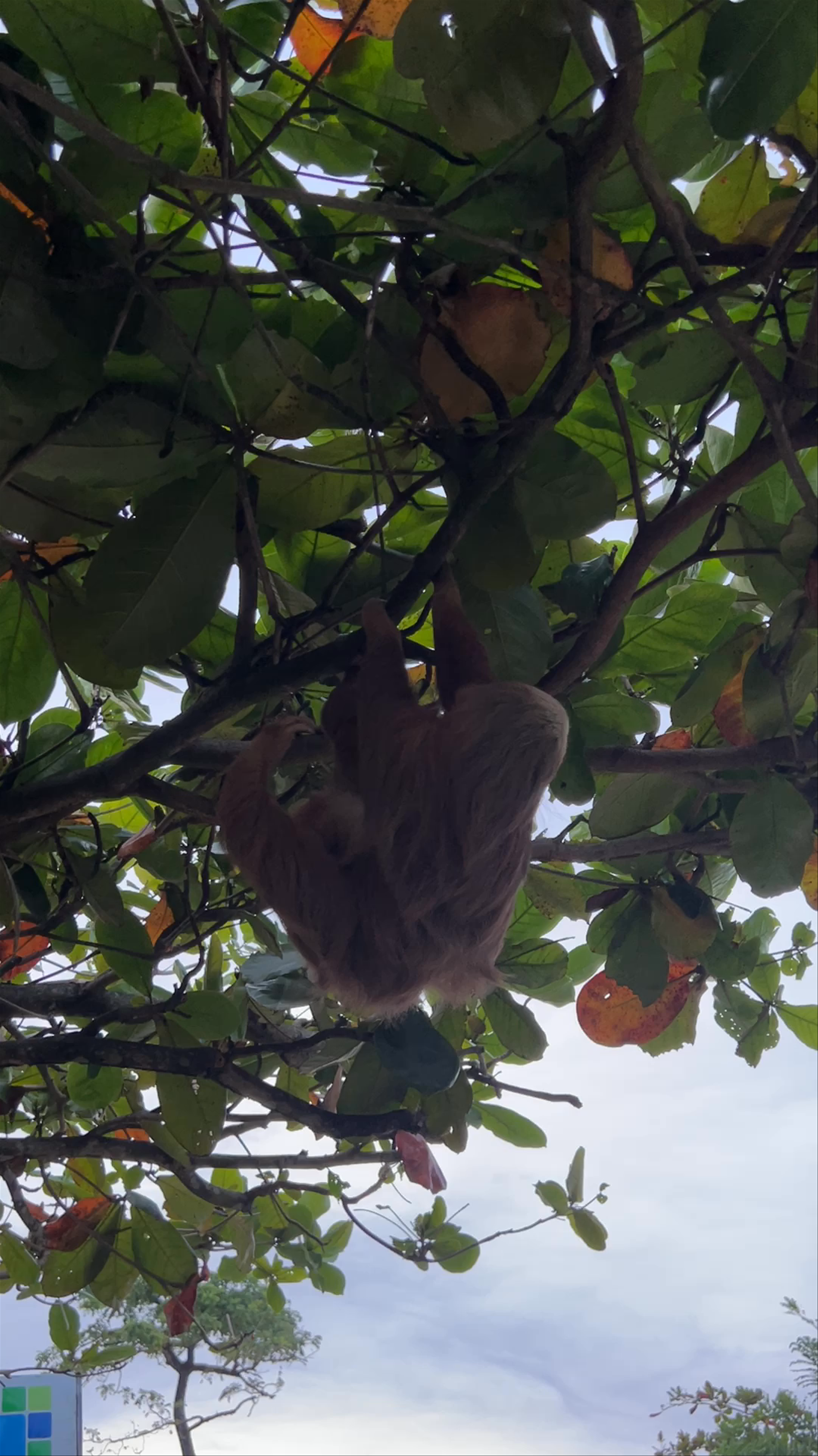 Parque Nacional Cahuita - Entrada Puerto Vargas