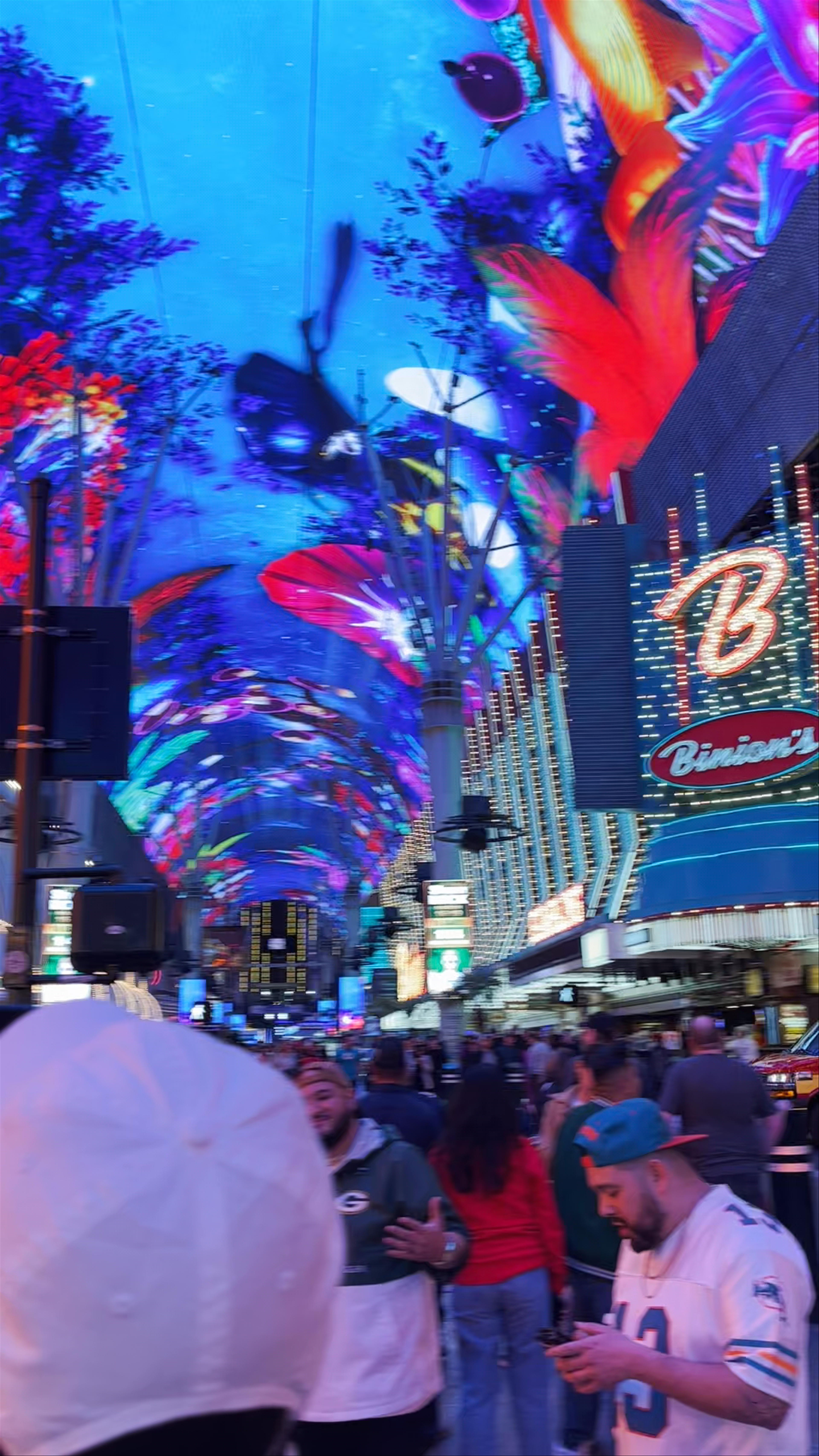Experience the Vibrant Buzz of Fremont Street, Las Vegas