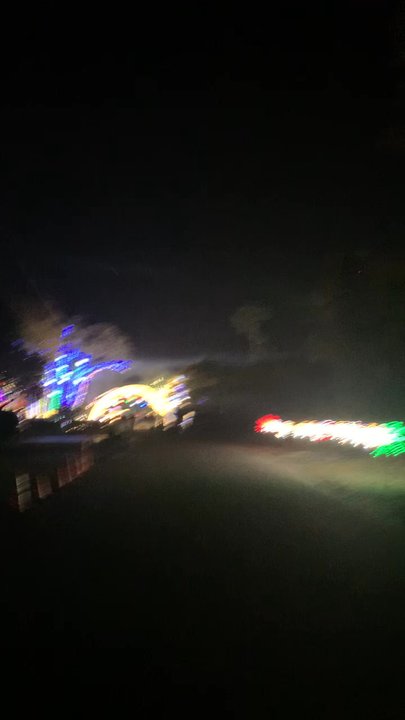 Johannessen Lights - Walking toward the entrance of the property. - Holiday Decorating Services Near Me - Winter Park, Florida
