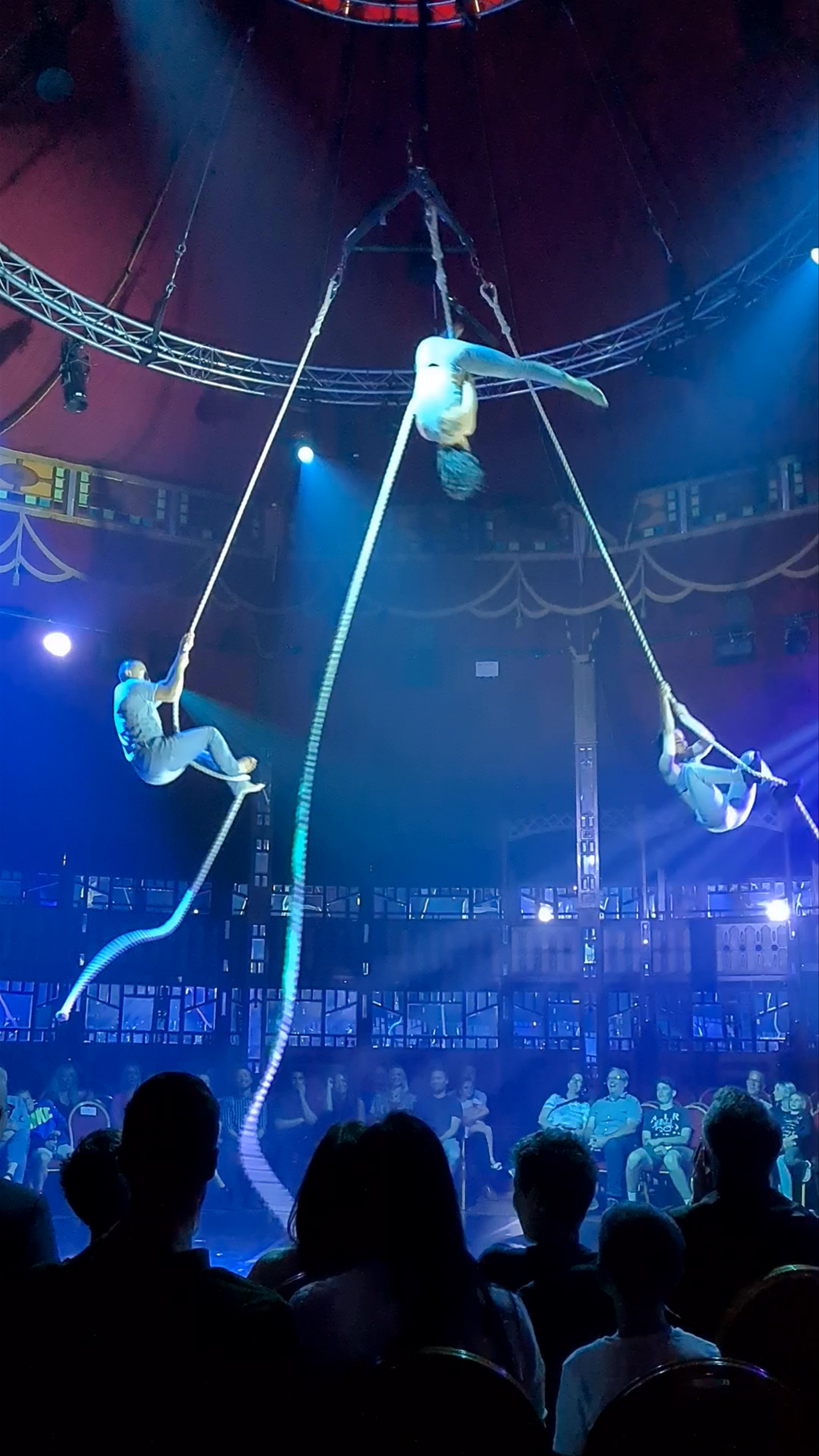 Thrilling Aerial Acrobatics Show at Assembly Festival Garden, Coventry