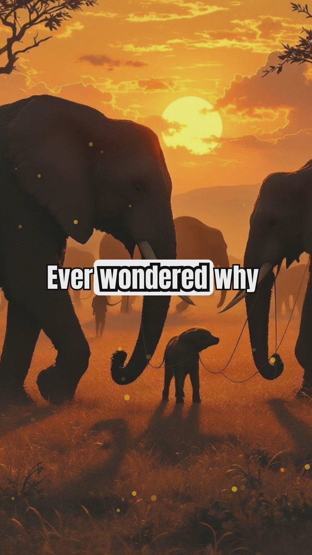 The Surprising Origin of 'Jumbo' and the Elephant That Started It All