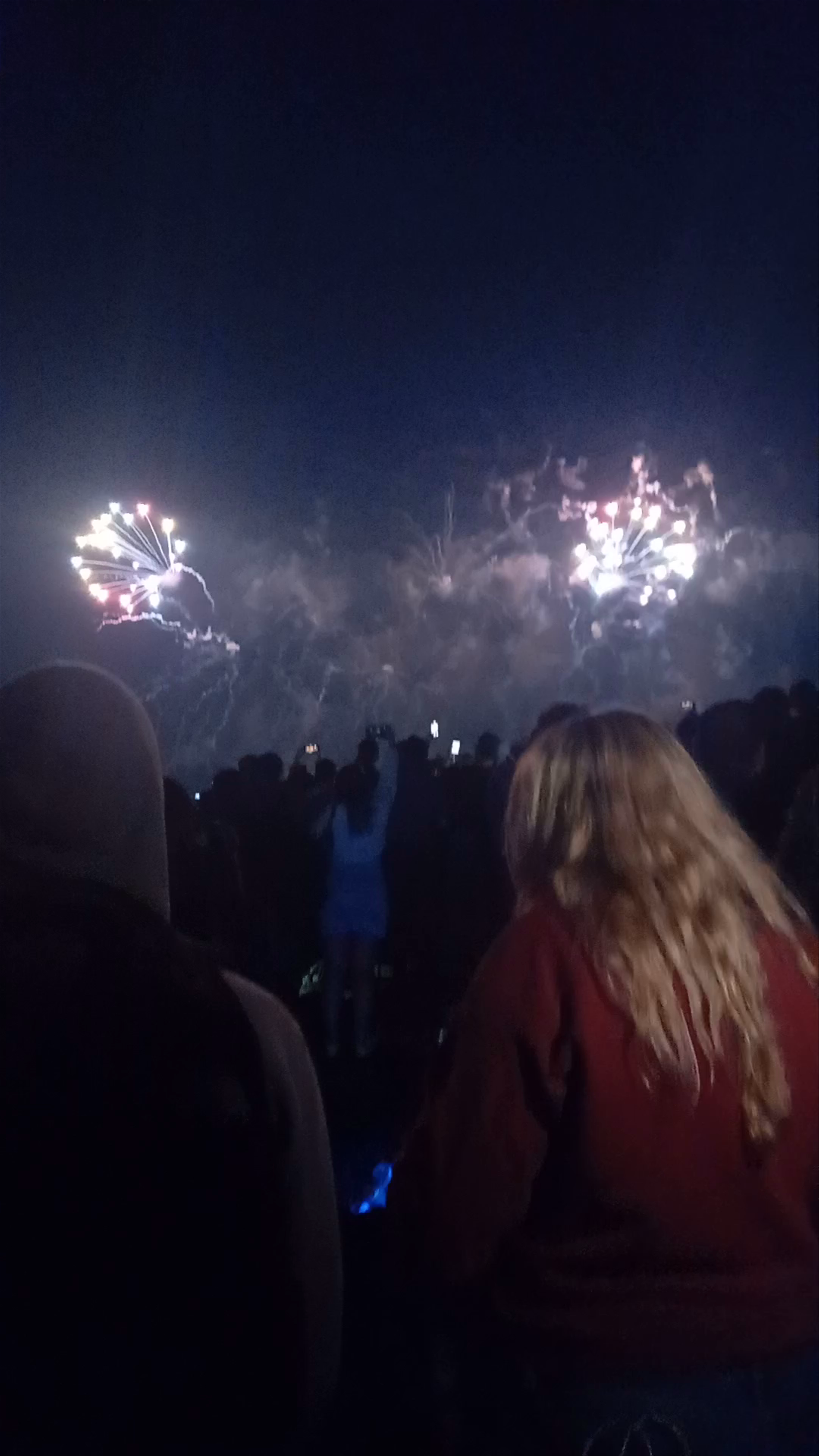 Mesmerizing Night Fireworks at Gas Works Park, Seattle