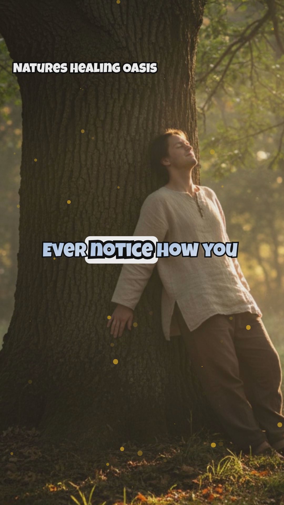 Morning Tree Meditation: 15-Minute Daily Practice for Energy Alignment