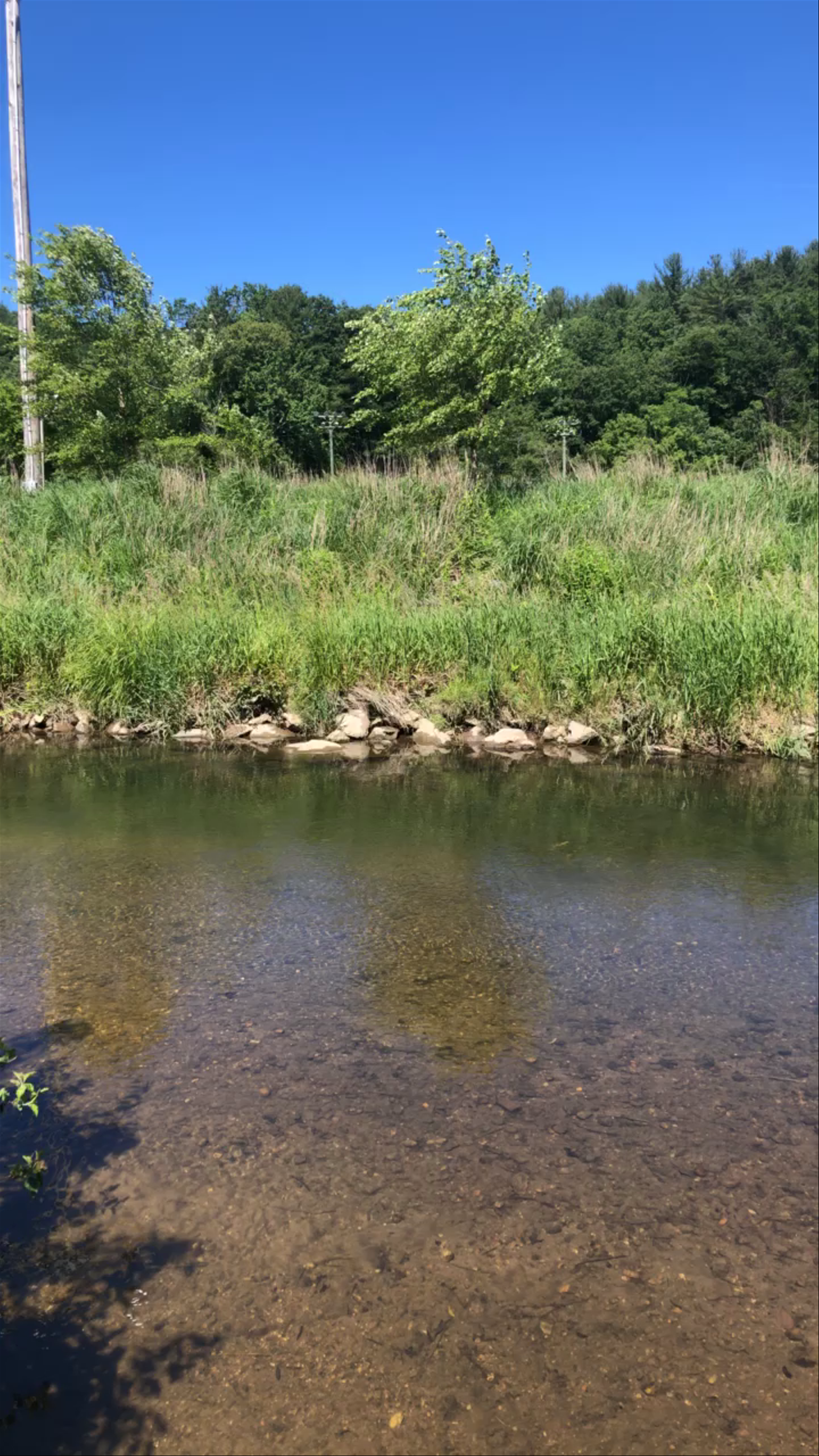 South Fork New River