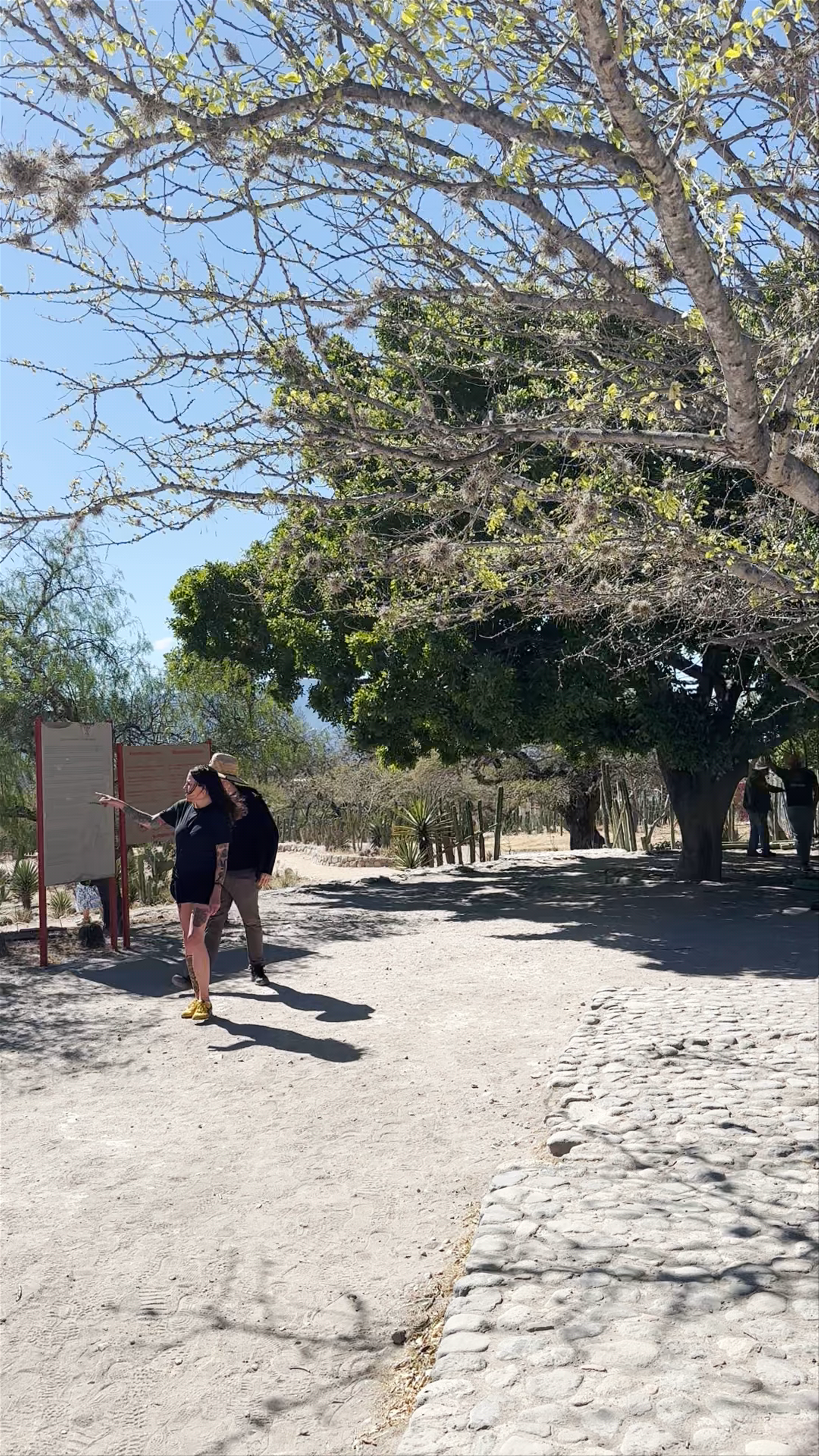 Grupo de las Columnas (Z.A. de Mitla)