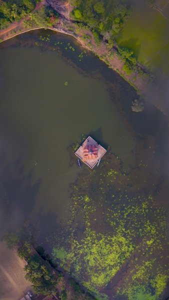 Photo of Have seen this beaut