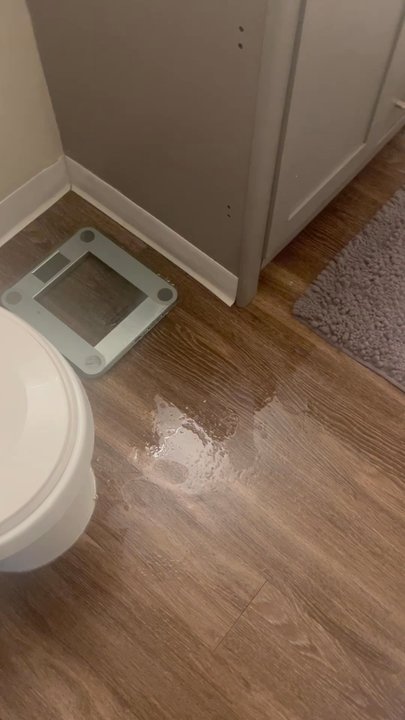 Surfcaster Apartments - No!! Do not live here! Management is useless. We've had our bathroom ceiling fixed 5 times already. It is inhabitable - Apartments Near Me - San Diego, California