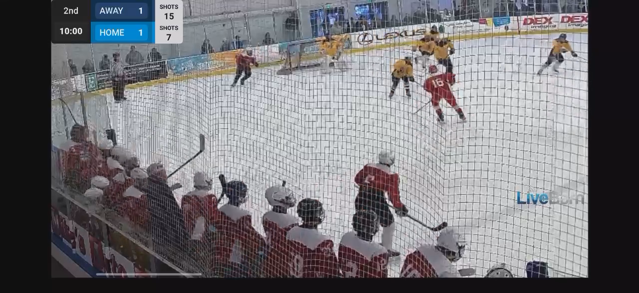 Kyle Hofelich - USA Hockey Player Dev