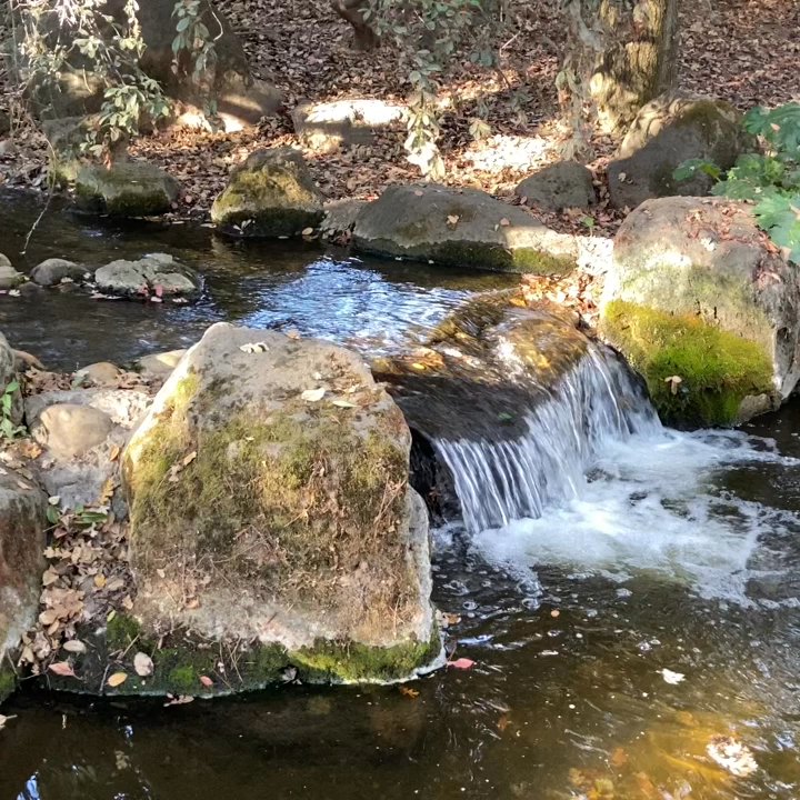 Micke Grove Park - La cascada de Japanese tea Garden. - Parks Near Me - Lodi, California