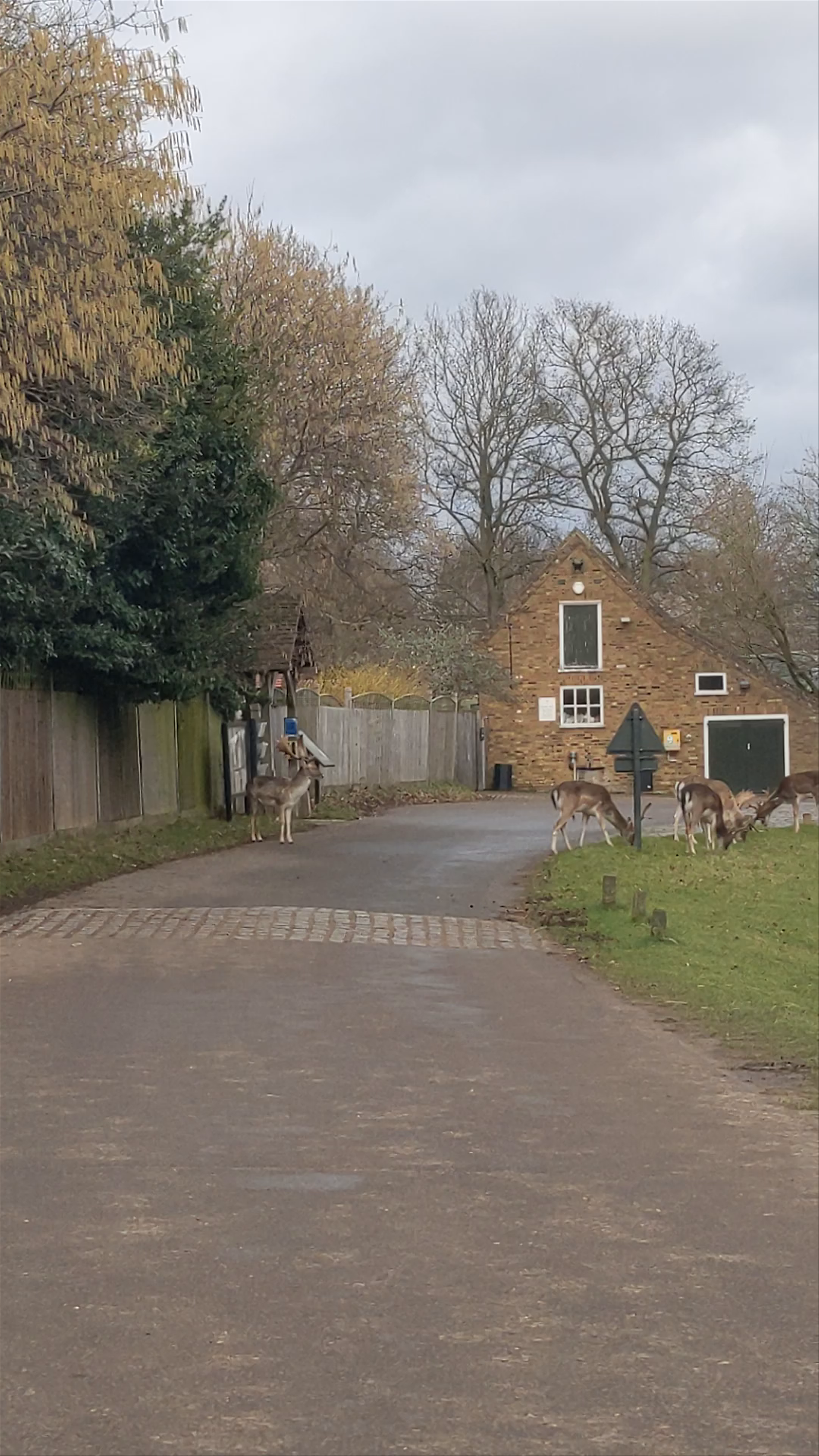 Richmond Park