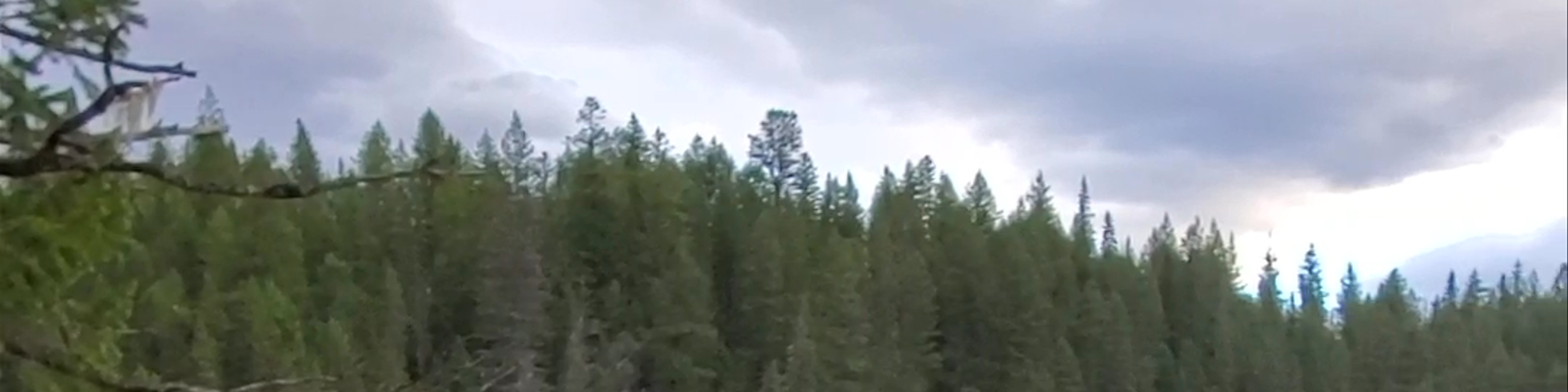 British Columbia