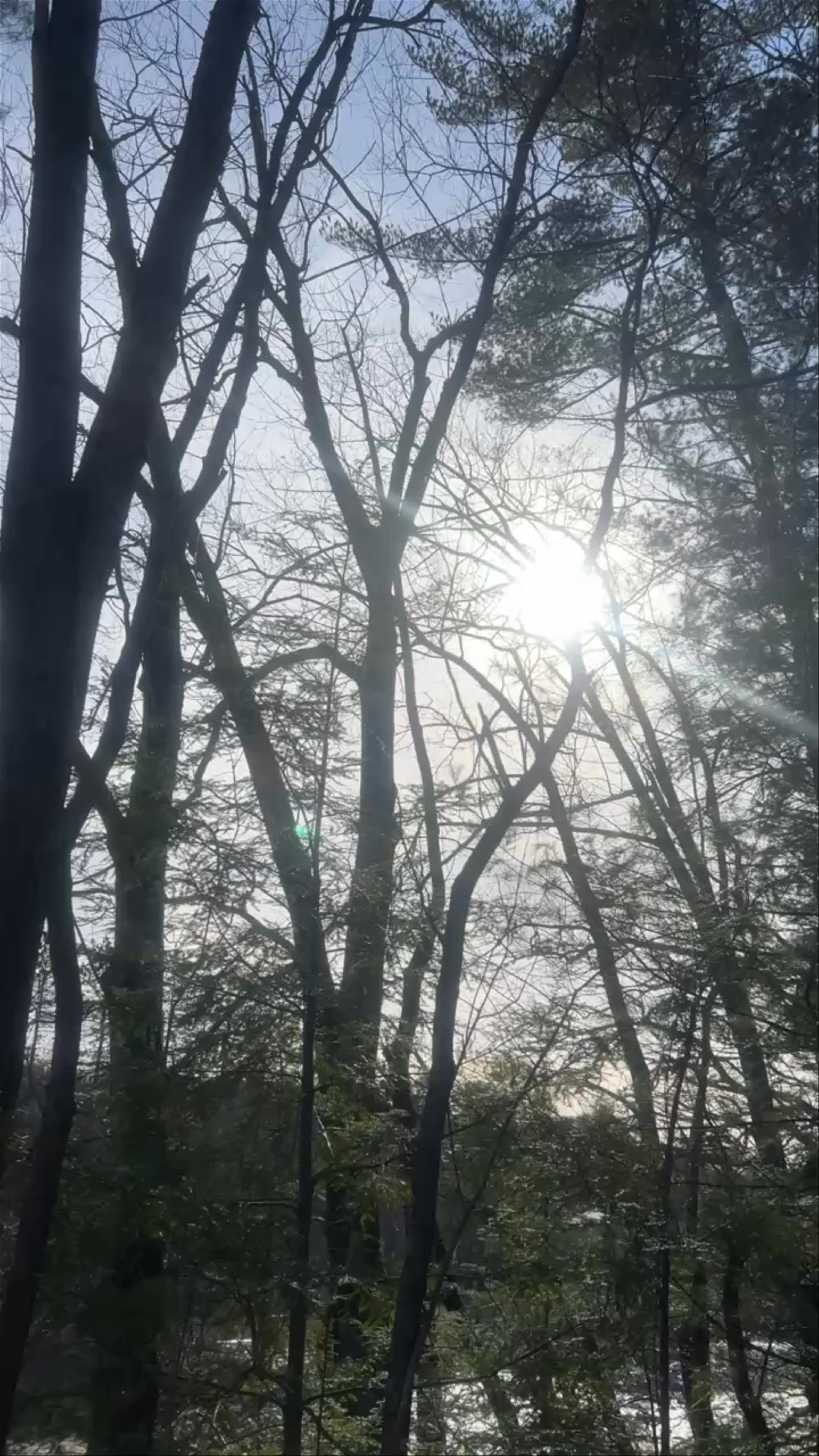 Mass Central Rail Trail (West Boylston)