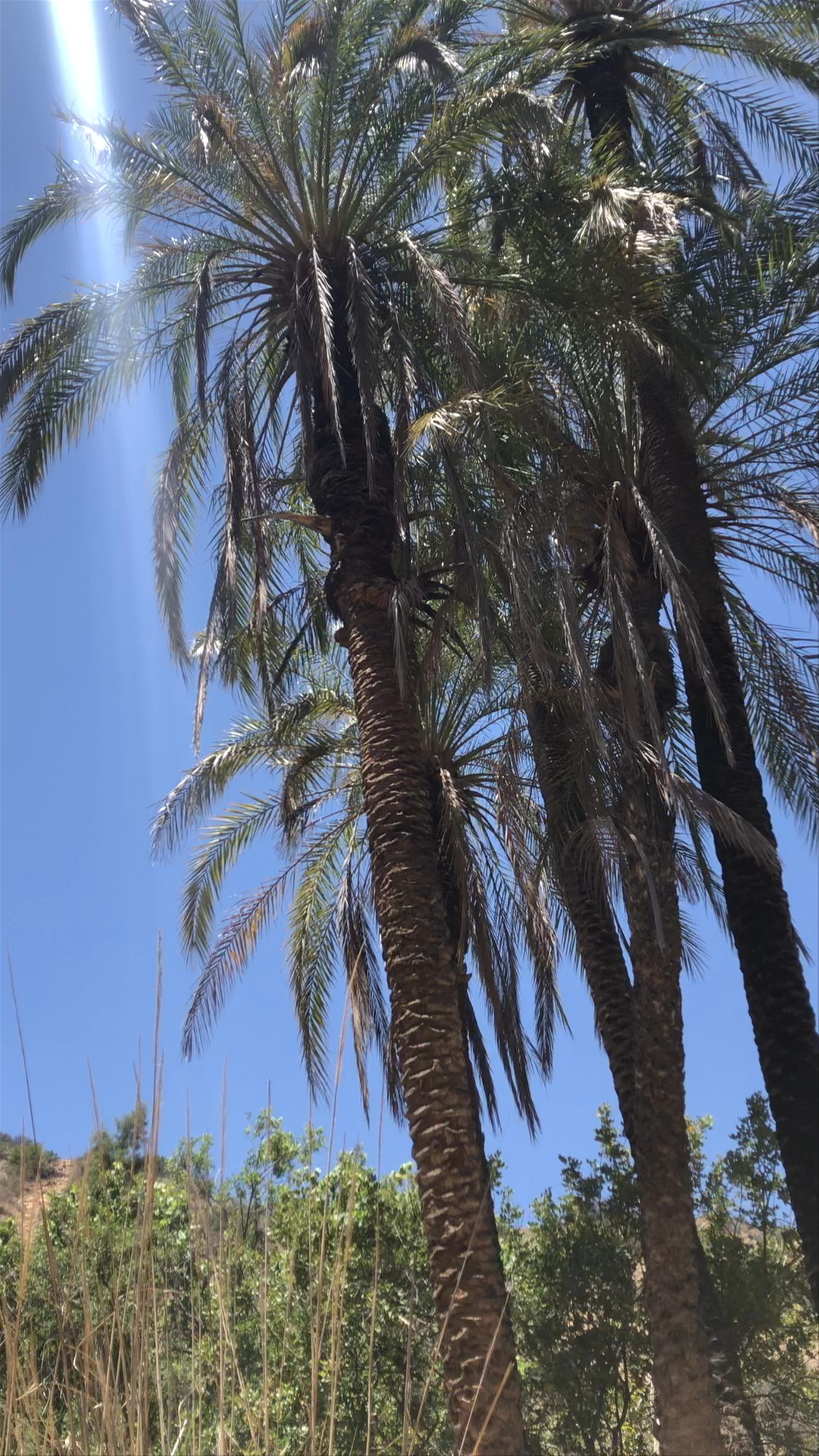 Paradise Valley Agadir