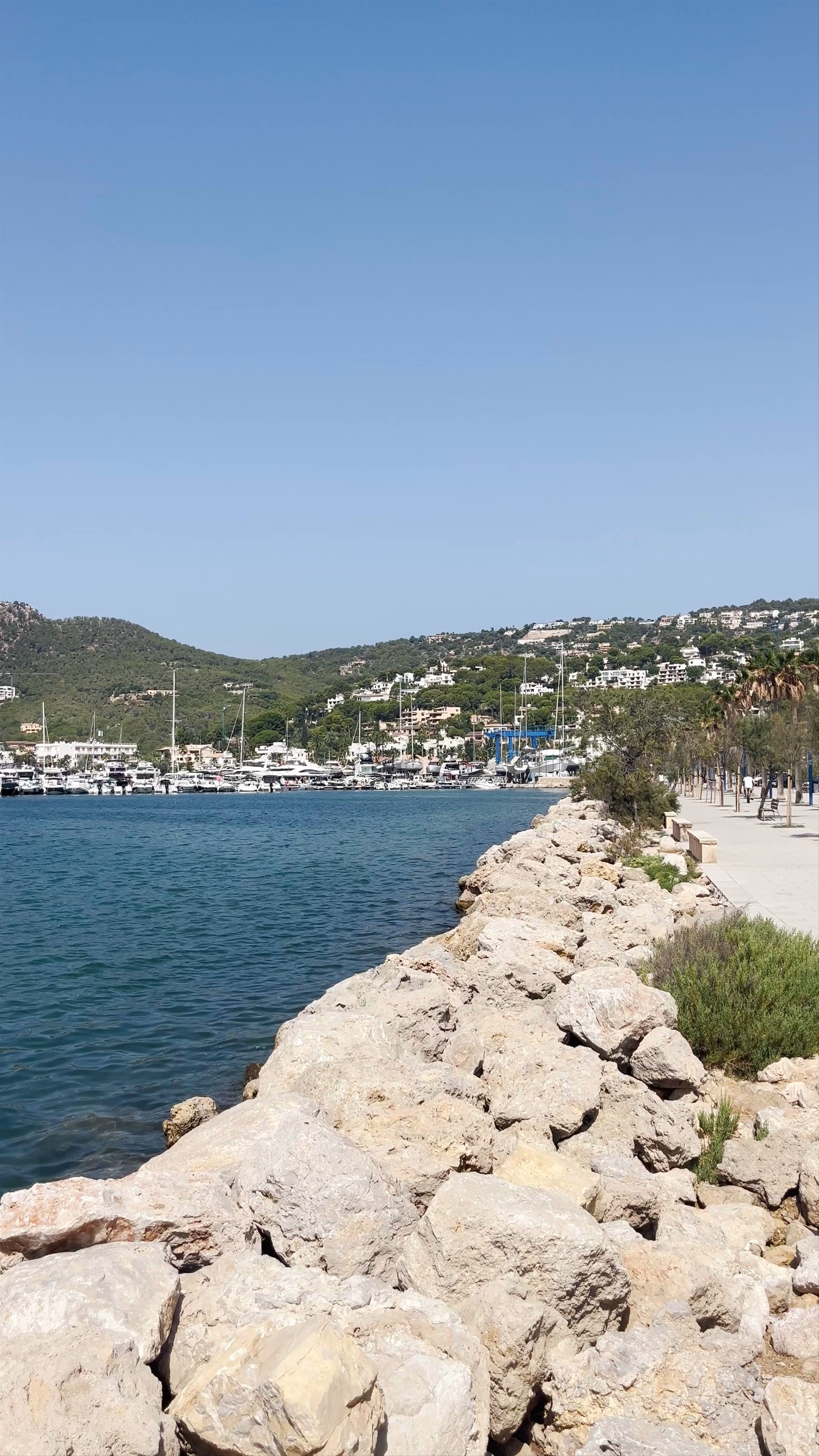 Sunlit Serenity at Port d'Andratx, Mallorca