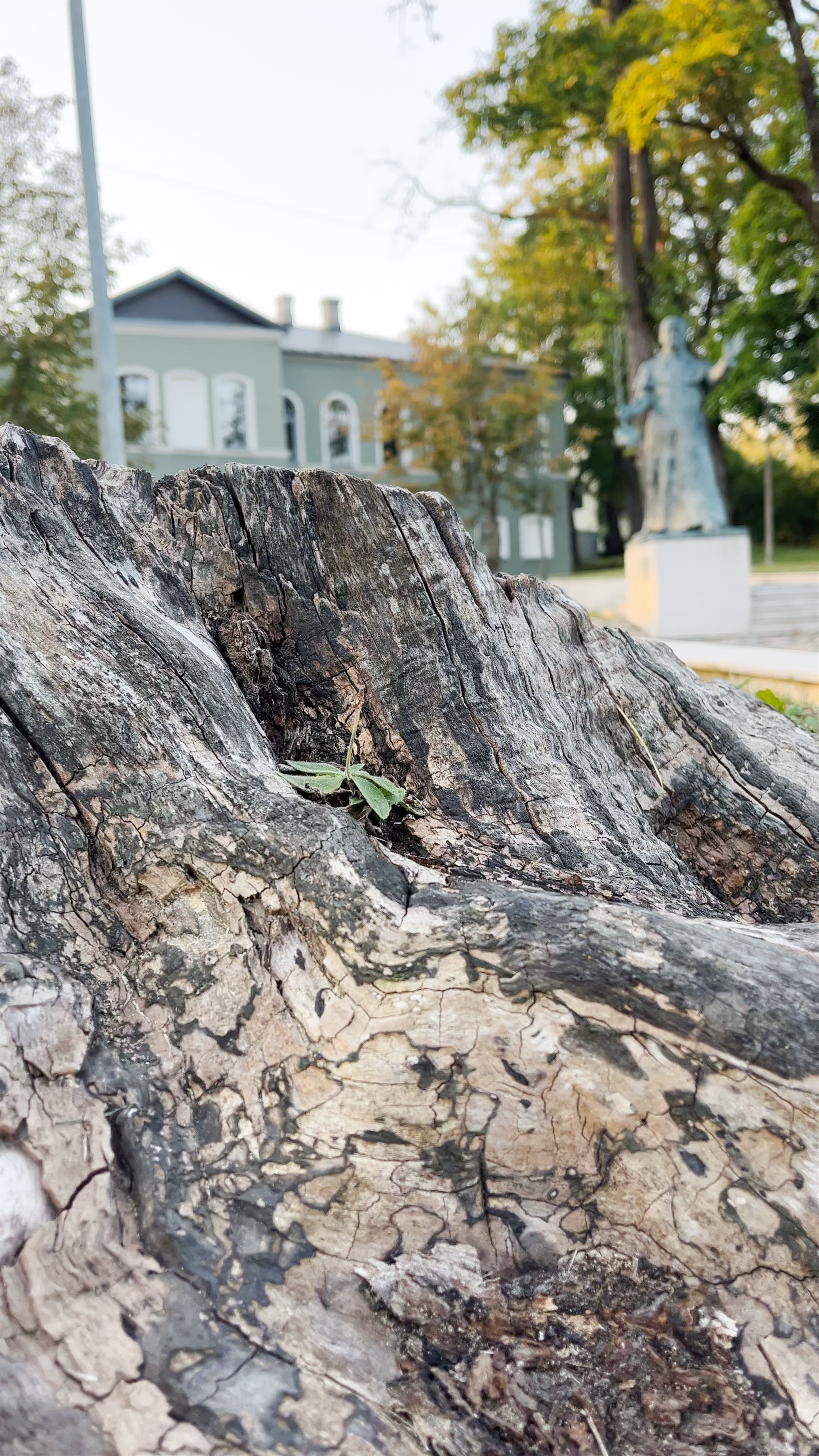 F. Trasuns Monument