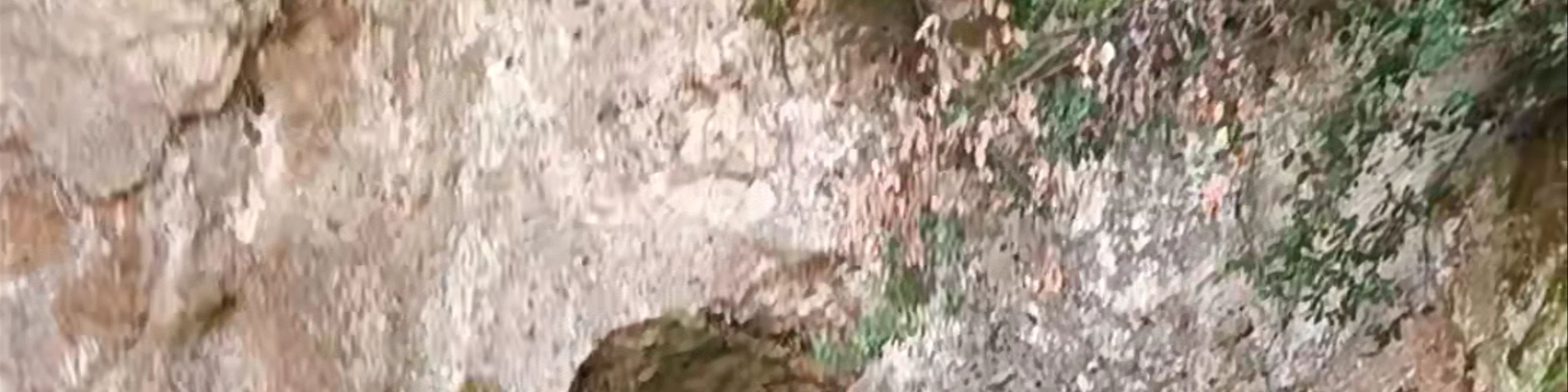 Parco Naturale Regionale dell'Antichissima Città di Sutri