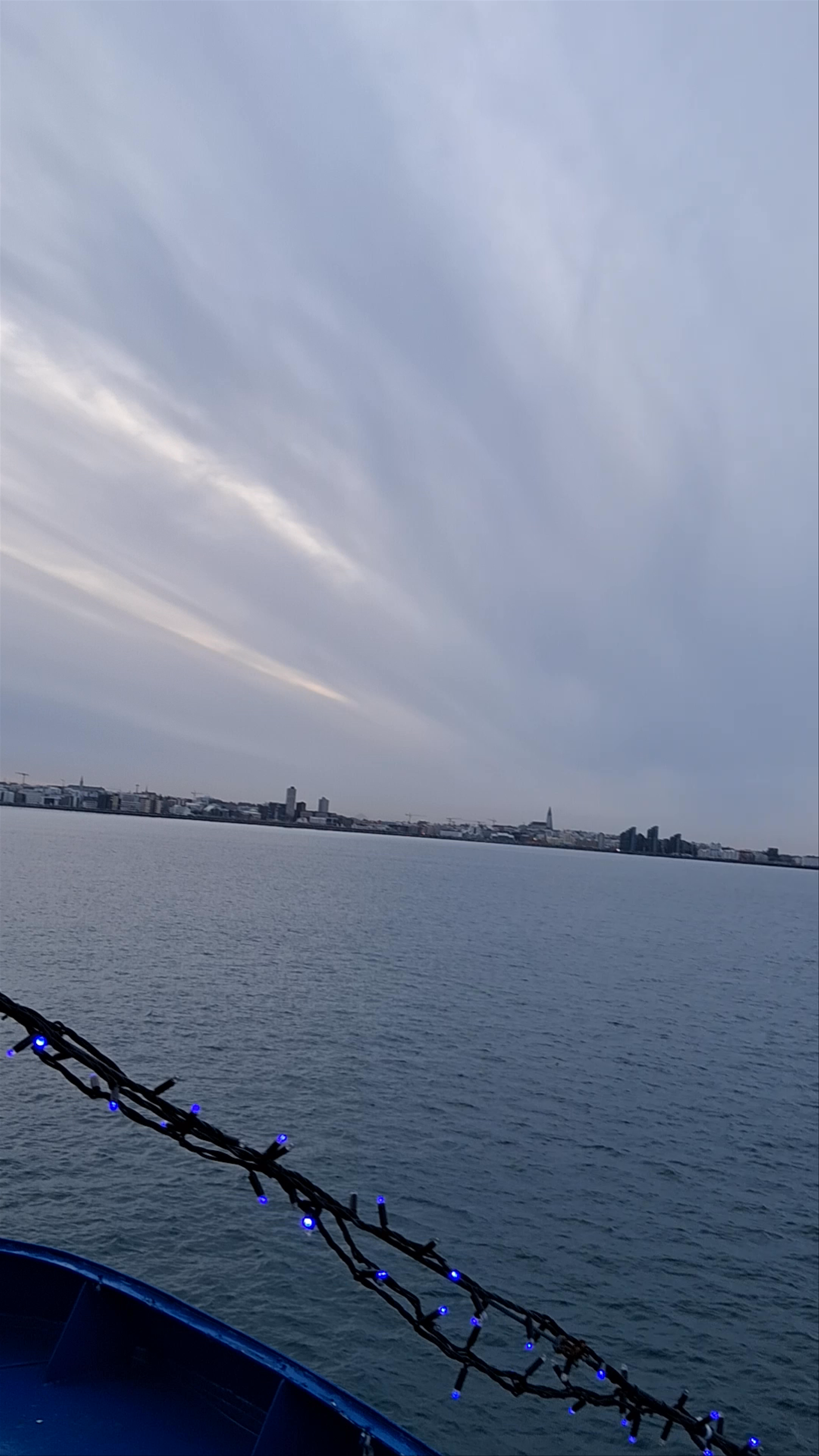 Artic Sea Tours Whale Watching