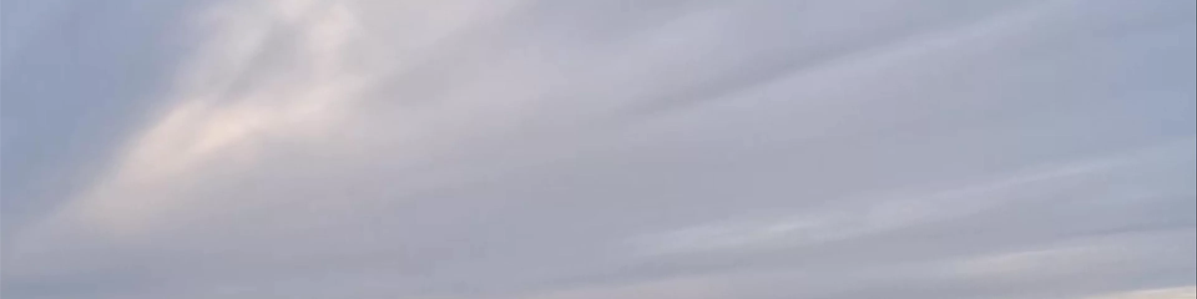 Artic Sea Tours Whale Watching