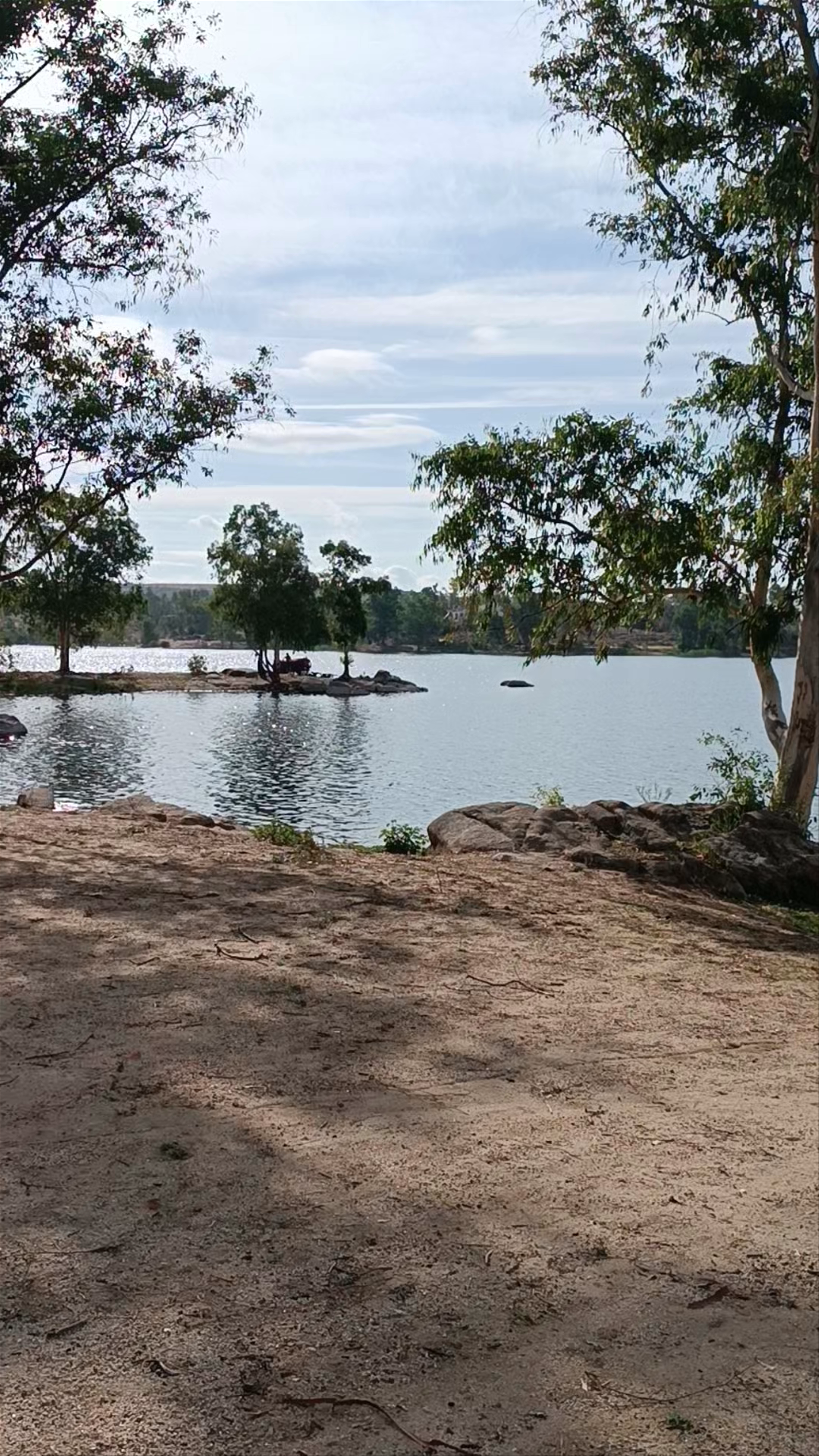 Pantano de Proserpina