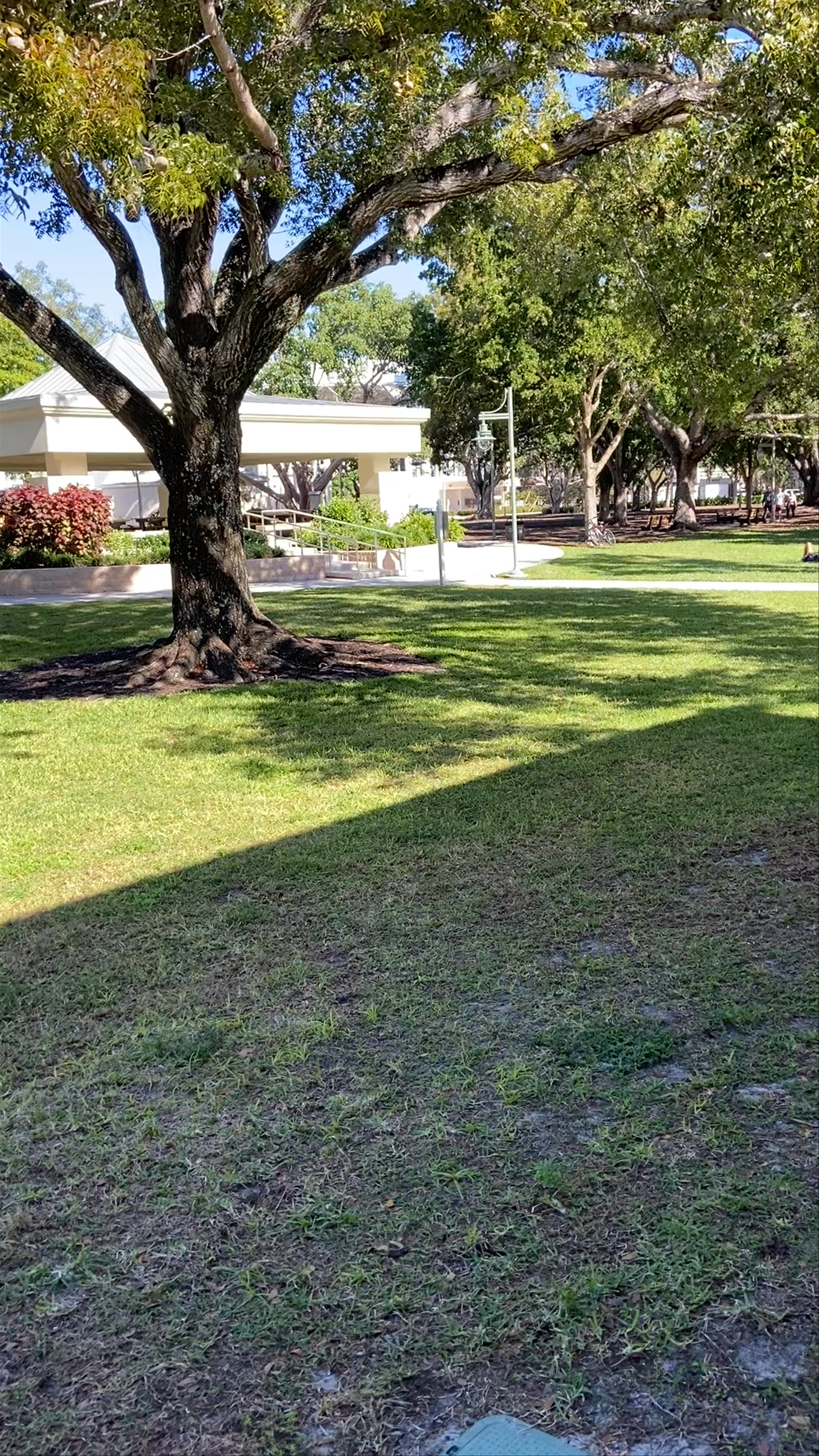 Cambier Park