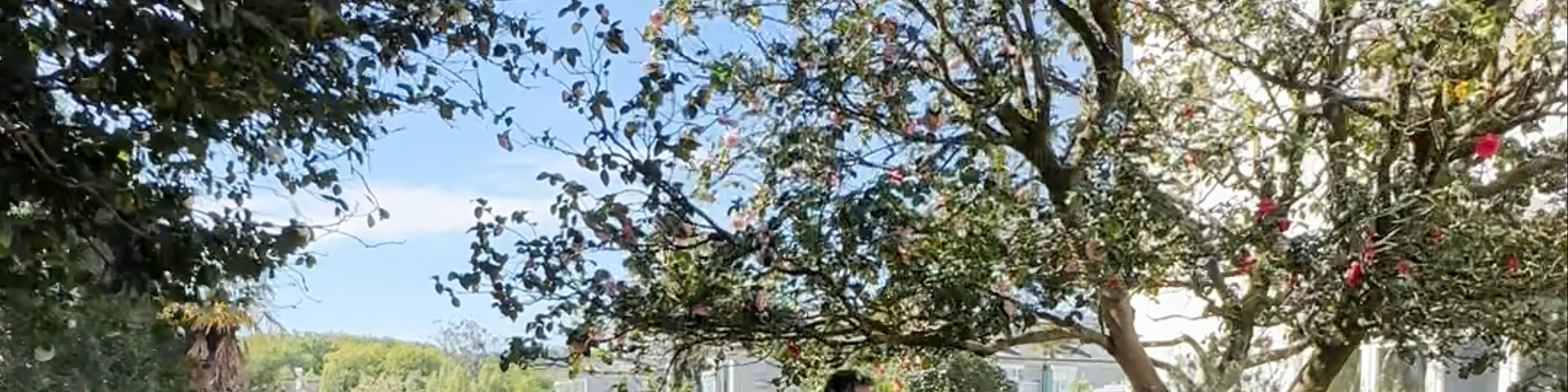 Xardíns da Rúa García Sabell
