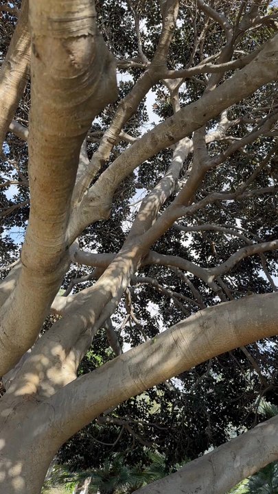 J Street Viewpoint - Parks Near Me - Encinitas, California