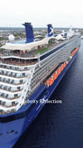 Celebrity Reflection