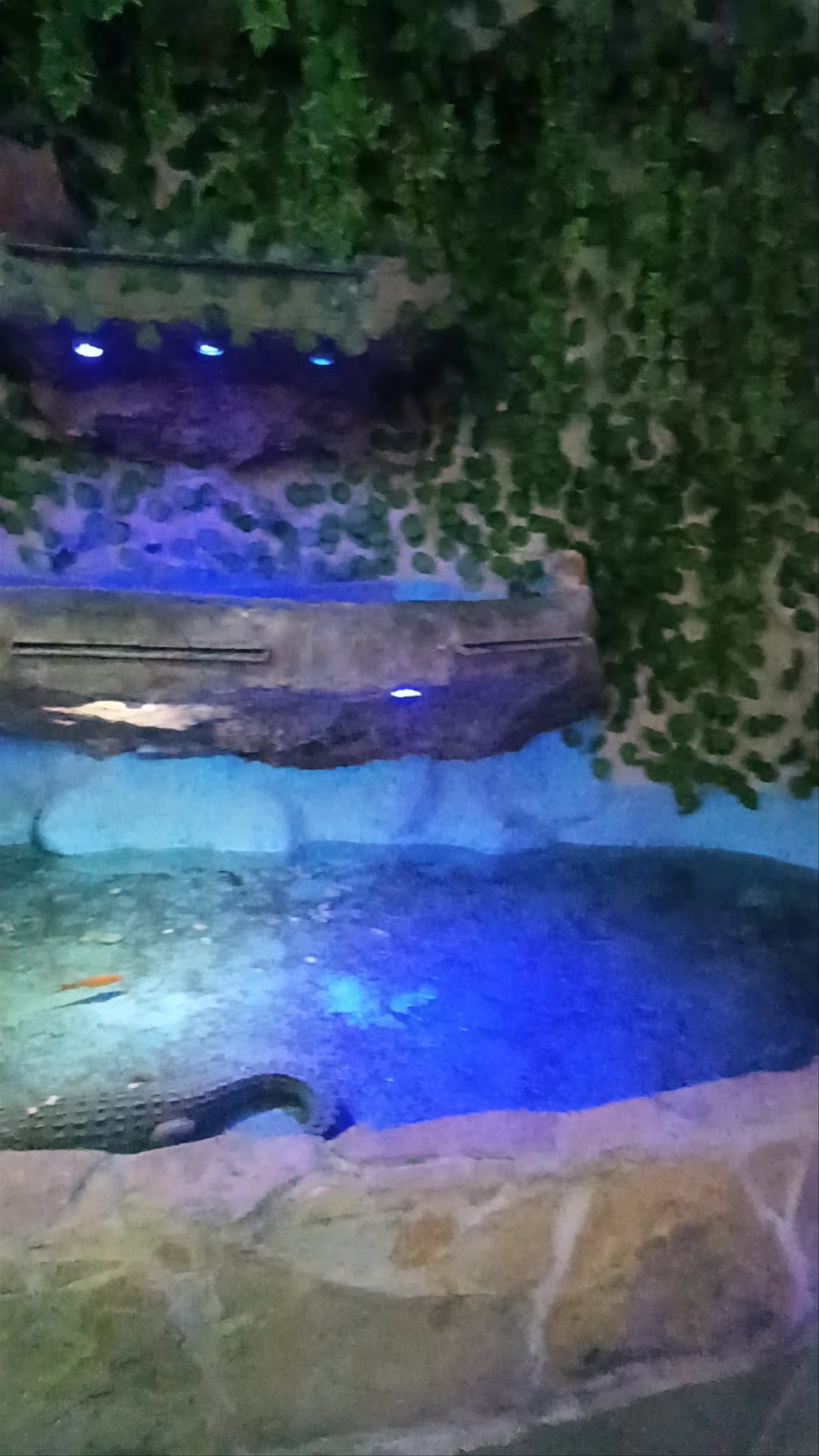 Restaurante Turco Jack Kebab SL