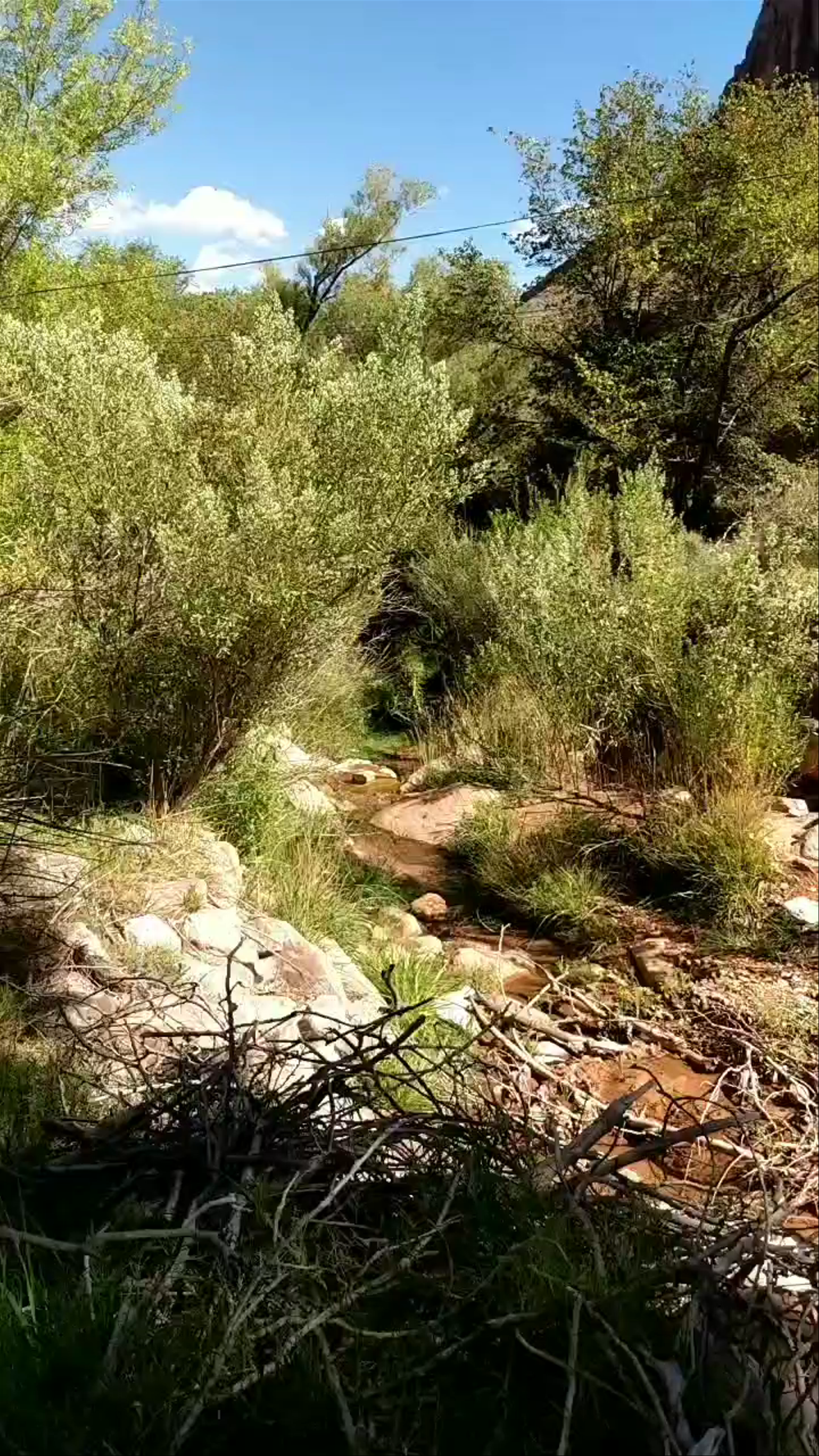 Havasupai Gardens Campground
