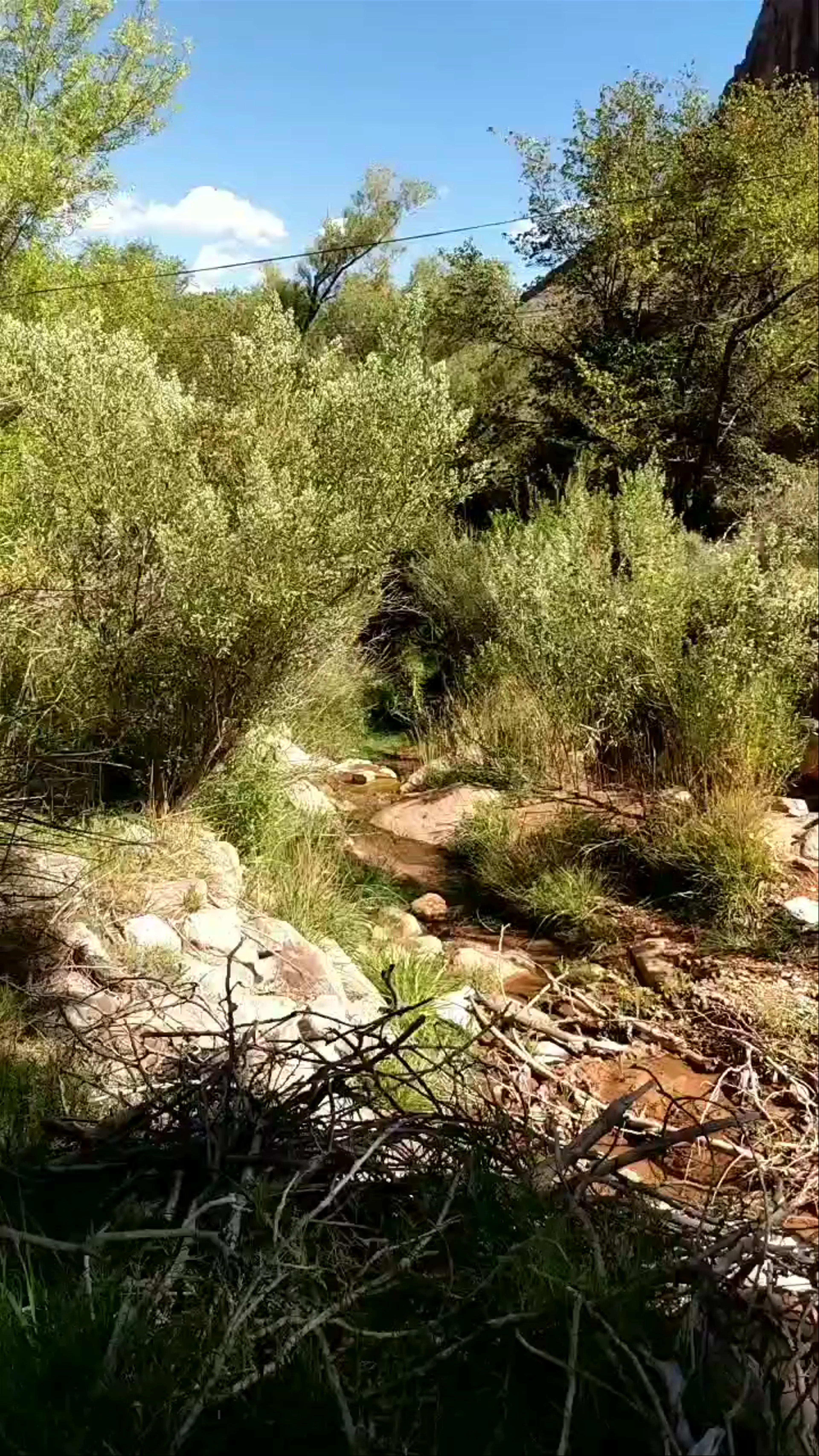 Havasupai Gardens Campground