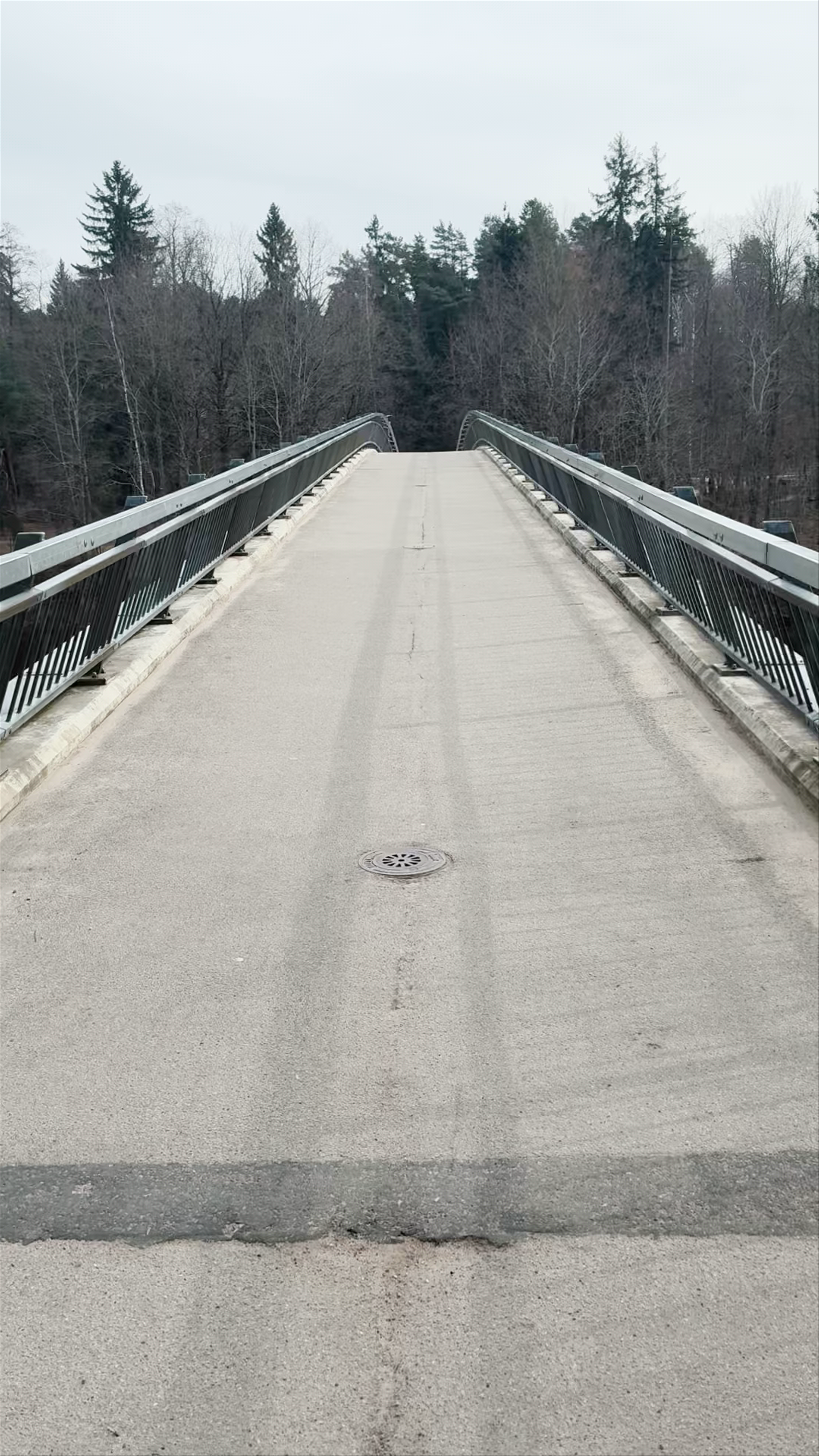 Горбатый мост