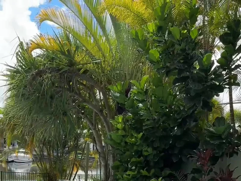 Aiper pool vacuum
