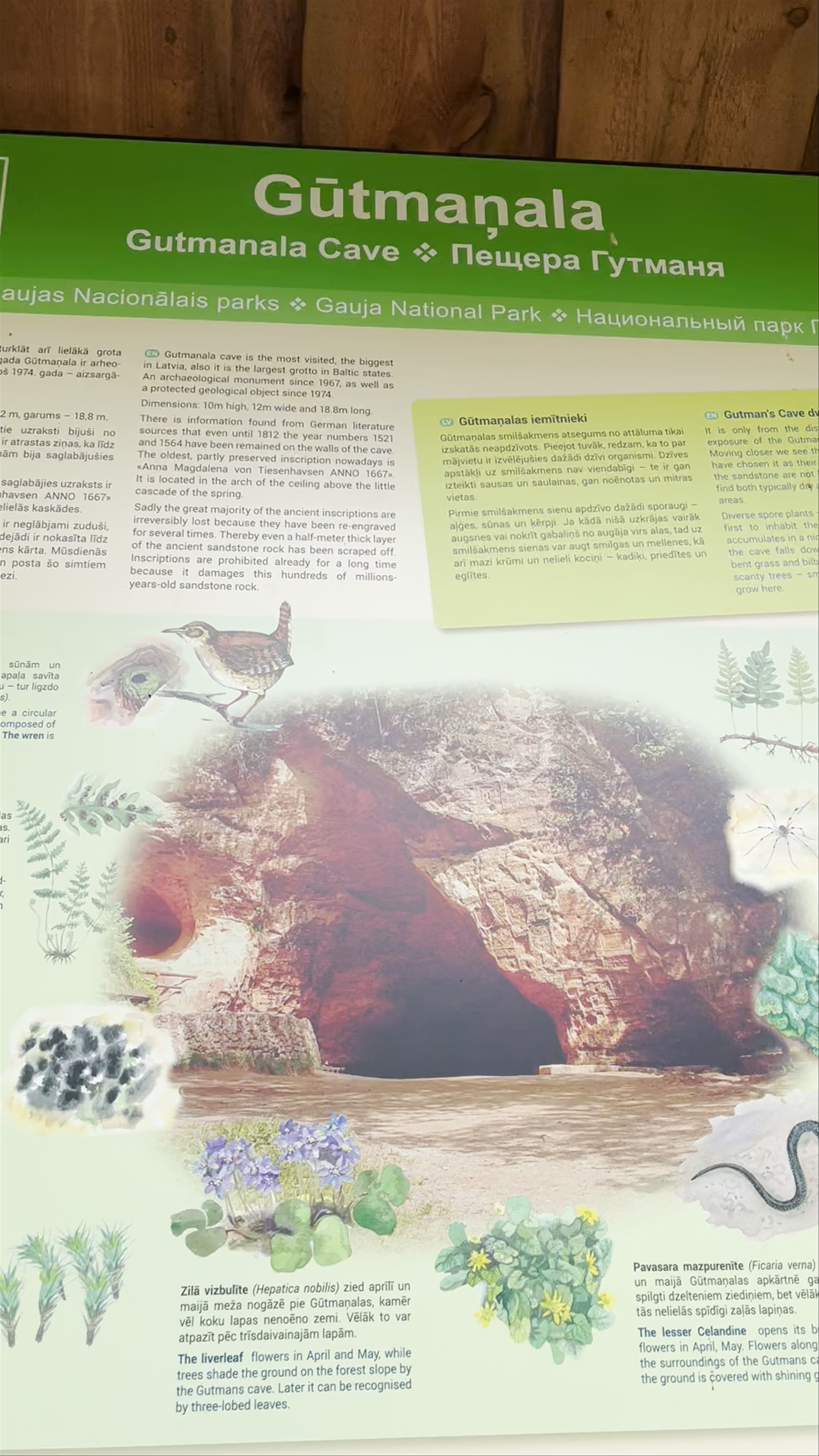 Exploring Gutman's Cave: Latvia’s Largest Grotto in Sigulda