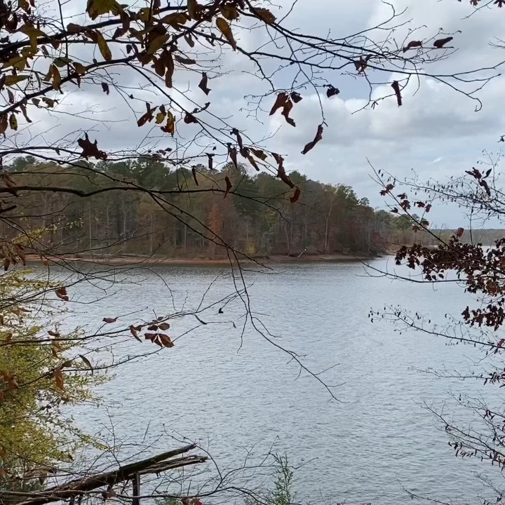 forest ridge park - Falls Lake, drought conditions. - Parks Near Me - Wake Forest, North Carolina