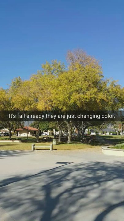 Irwindale Recreation - Irwindale in the fall. - Recreation Centers Near Me - Irwindale, California