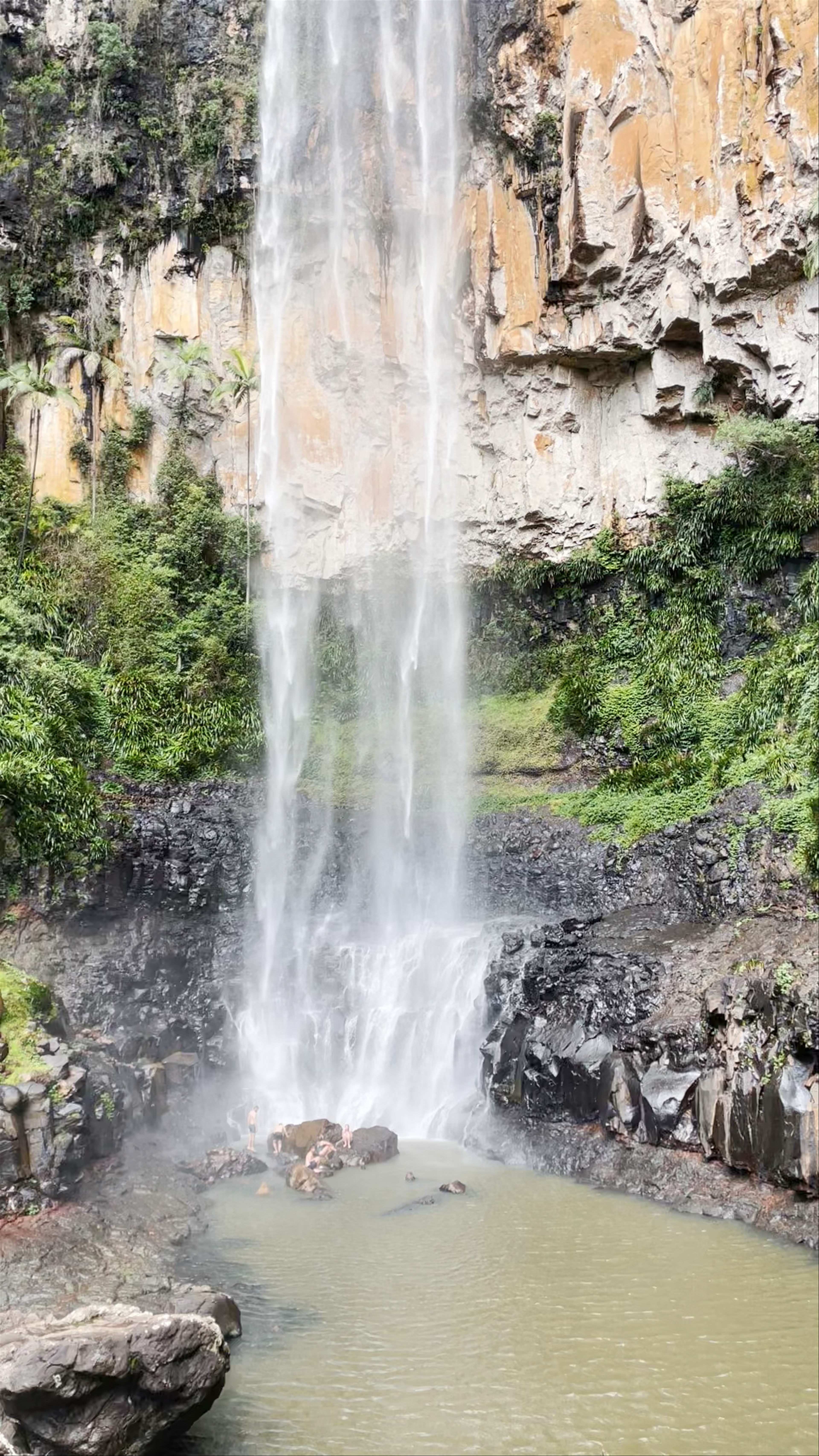 Springbrook National Park