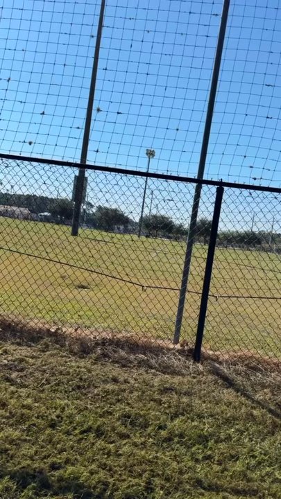 Patton Park - GPE Groundskeeping & Handyman Services, Inc. Proudly maintains this 120 Acre Park. Jax First Coast Soccer - Parks Near Me - Jacksonville, Florida