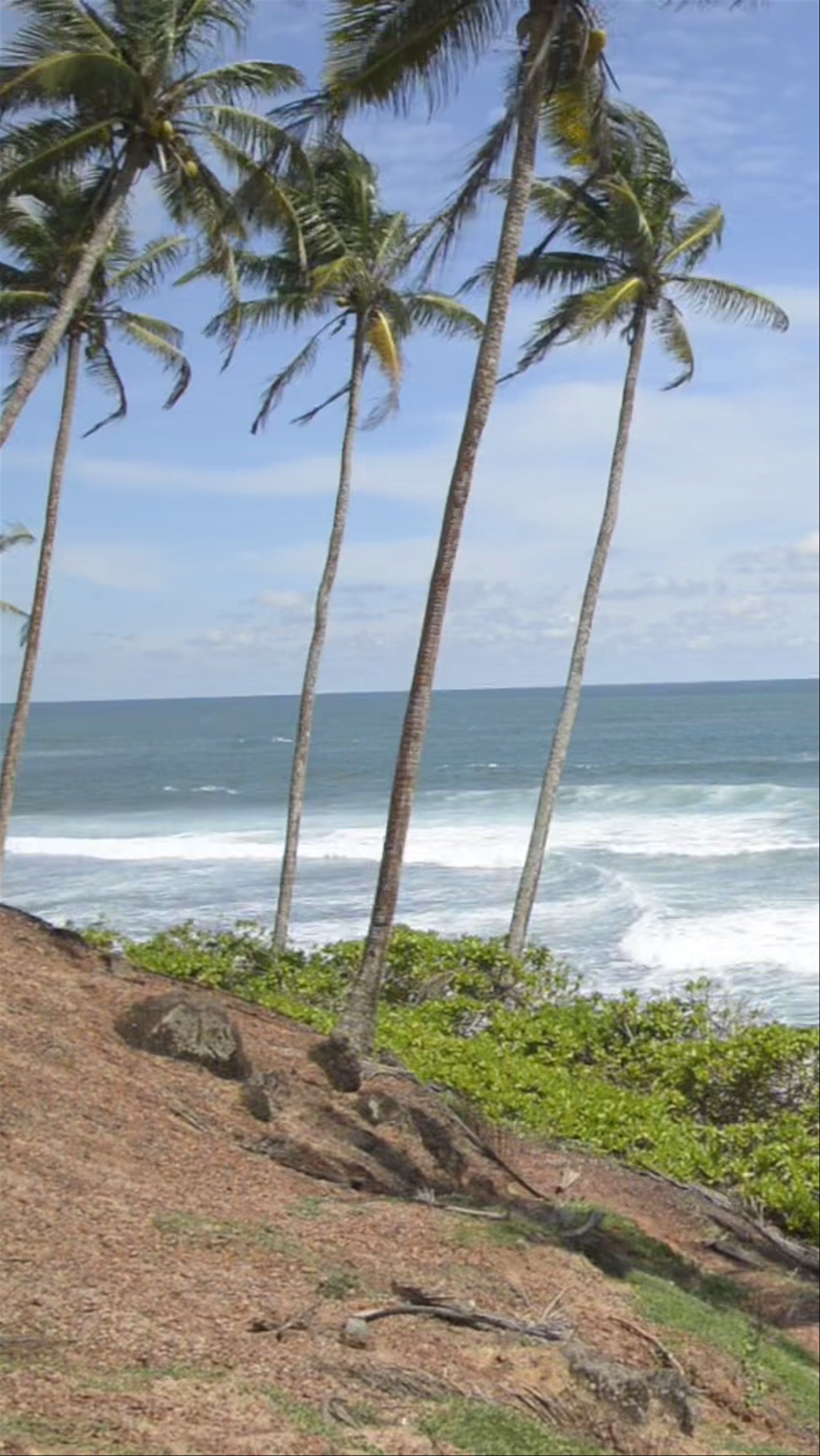 Coconut Tree Hill: Breathtaking Coastal Views in Mirissa, Sri Lanka