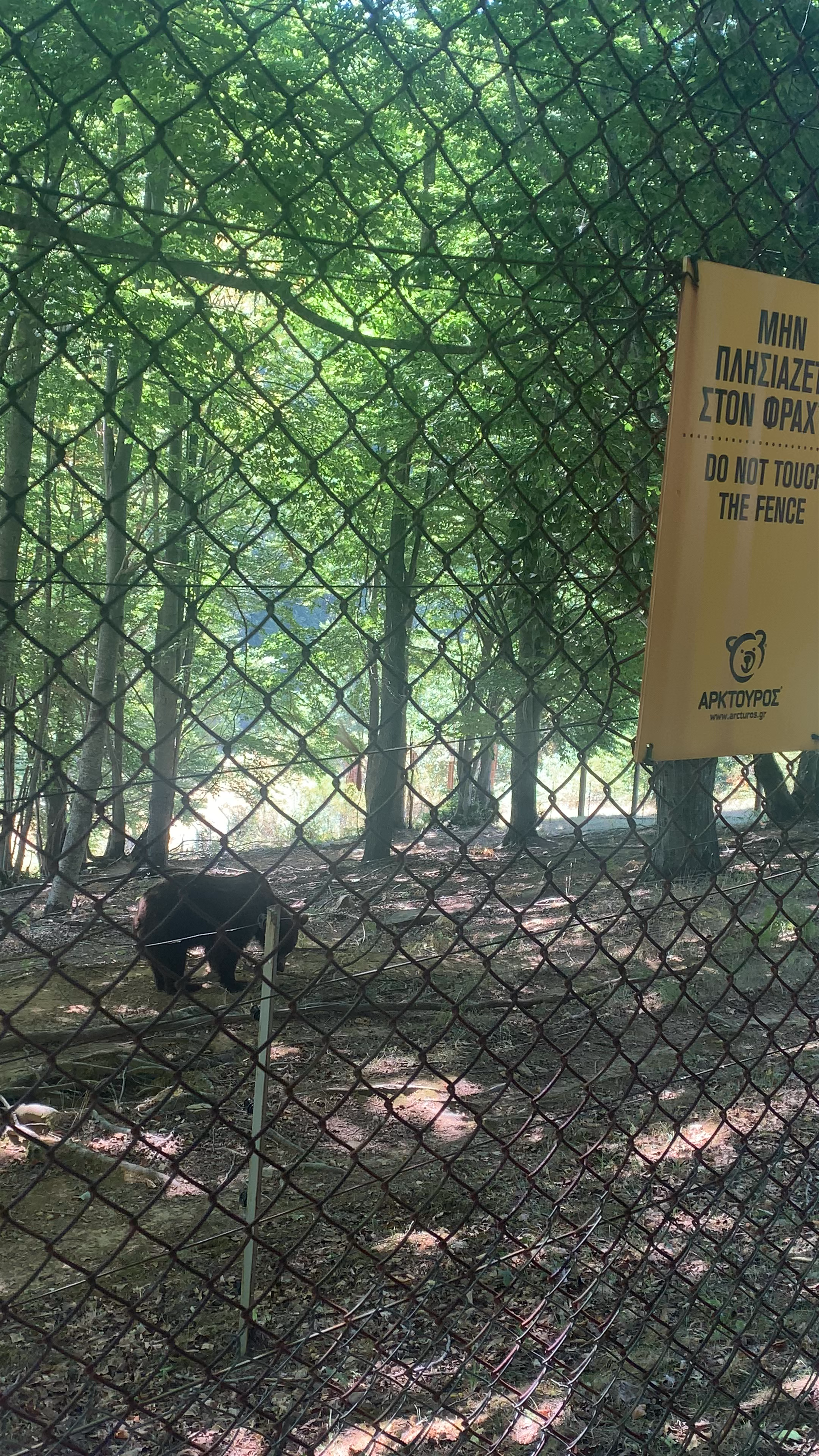 Arcturos Environmental Center: Bear Sanctuary Experience in Amyntaio, Greece